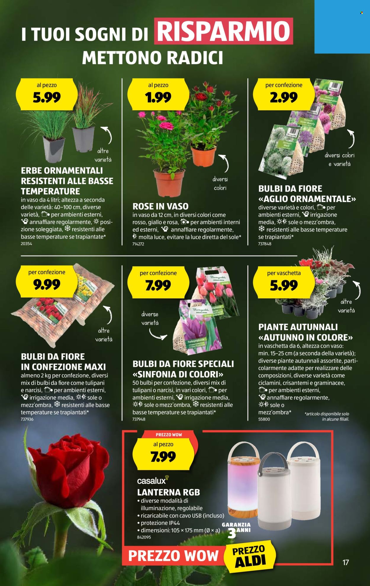 Volantino Aldi - 28.8.2025 - 3.9.2025. Pagina 17. Pagina 17