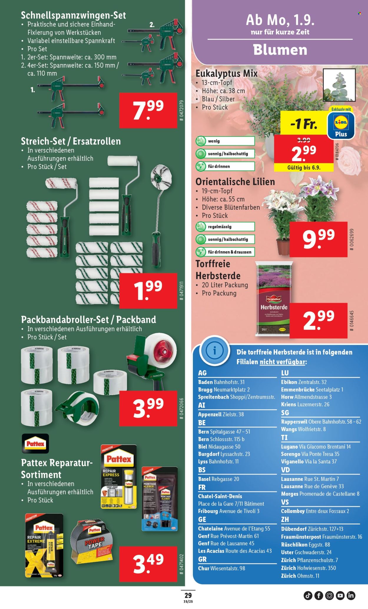 Volantino Lidl - 28.8.2025 - 3.9.2025. Pagina 31. Pagina 31