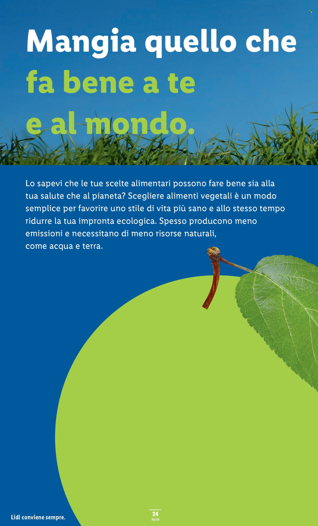 Volantino Lidl - 28.8.2025 - 3.9.2025. Pagina 26. Pagina 26
