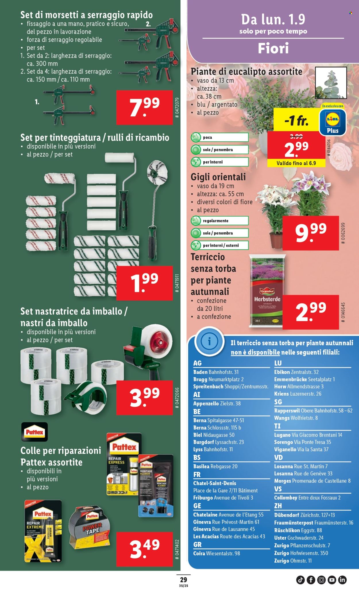 Volantino Lidl - 28.8.2025 - 3.9.2025. Pagina 31. Pagina 31