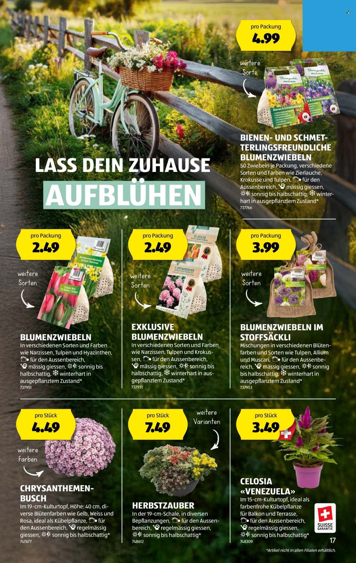 Volantino Aldi - 4.9.2025 - 10.9.2025. Pagina 17. Pagina 17