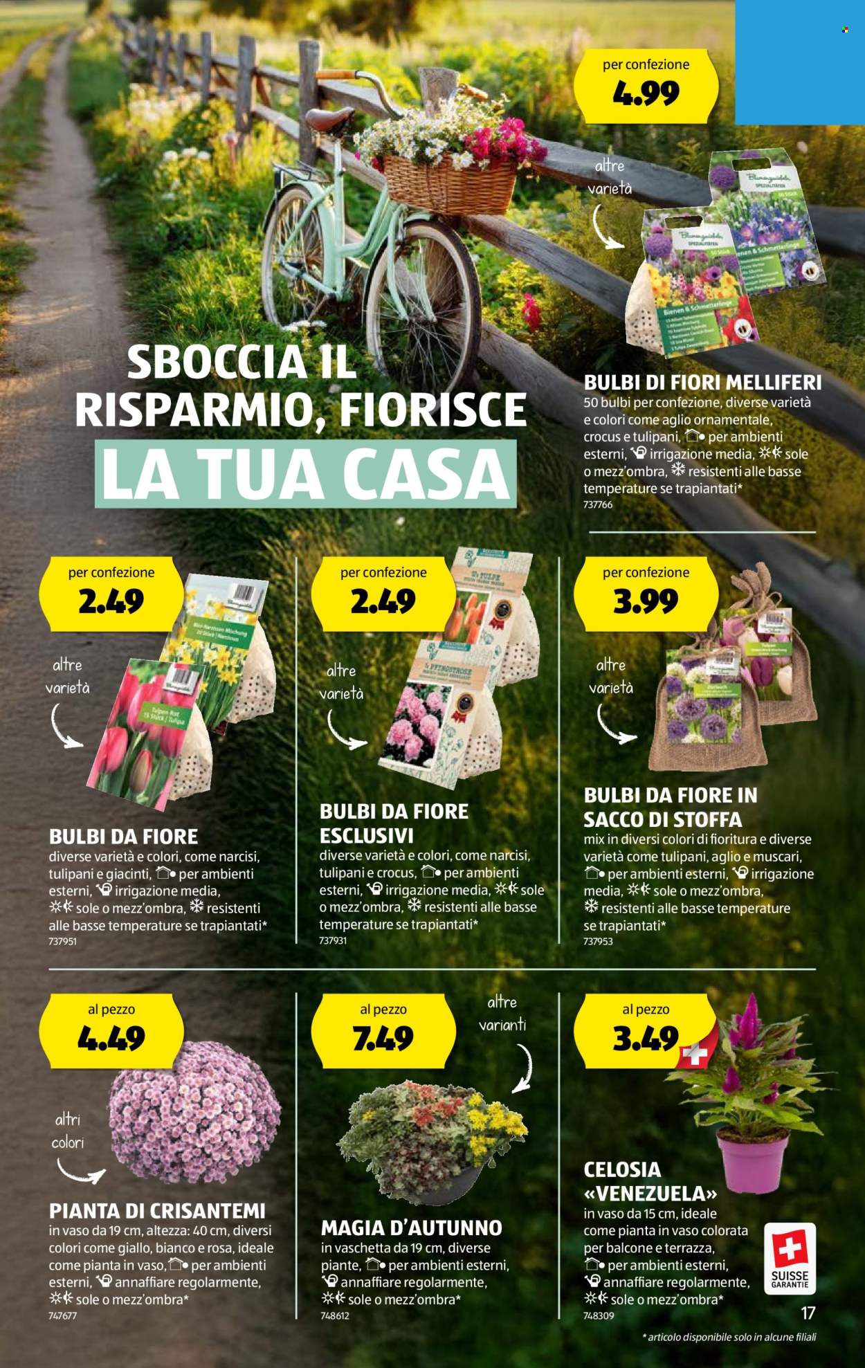 Volantino Aldi - 4.9.2025 - 10.9.2025. Pagina 17. Pagina 17