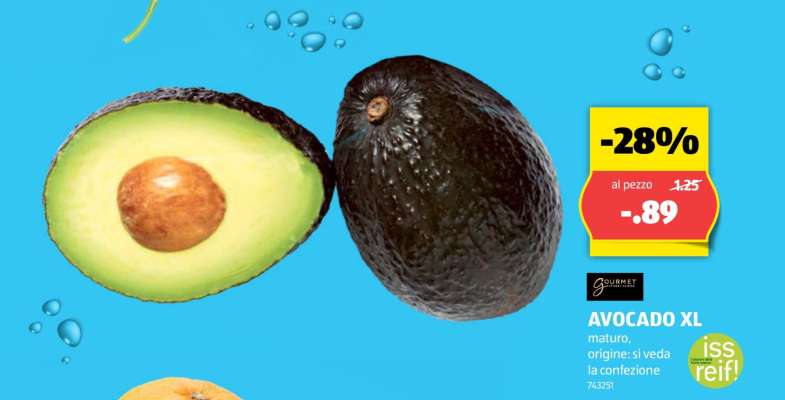 AVOCADO XL