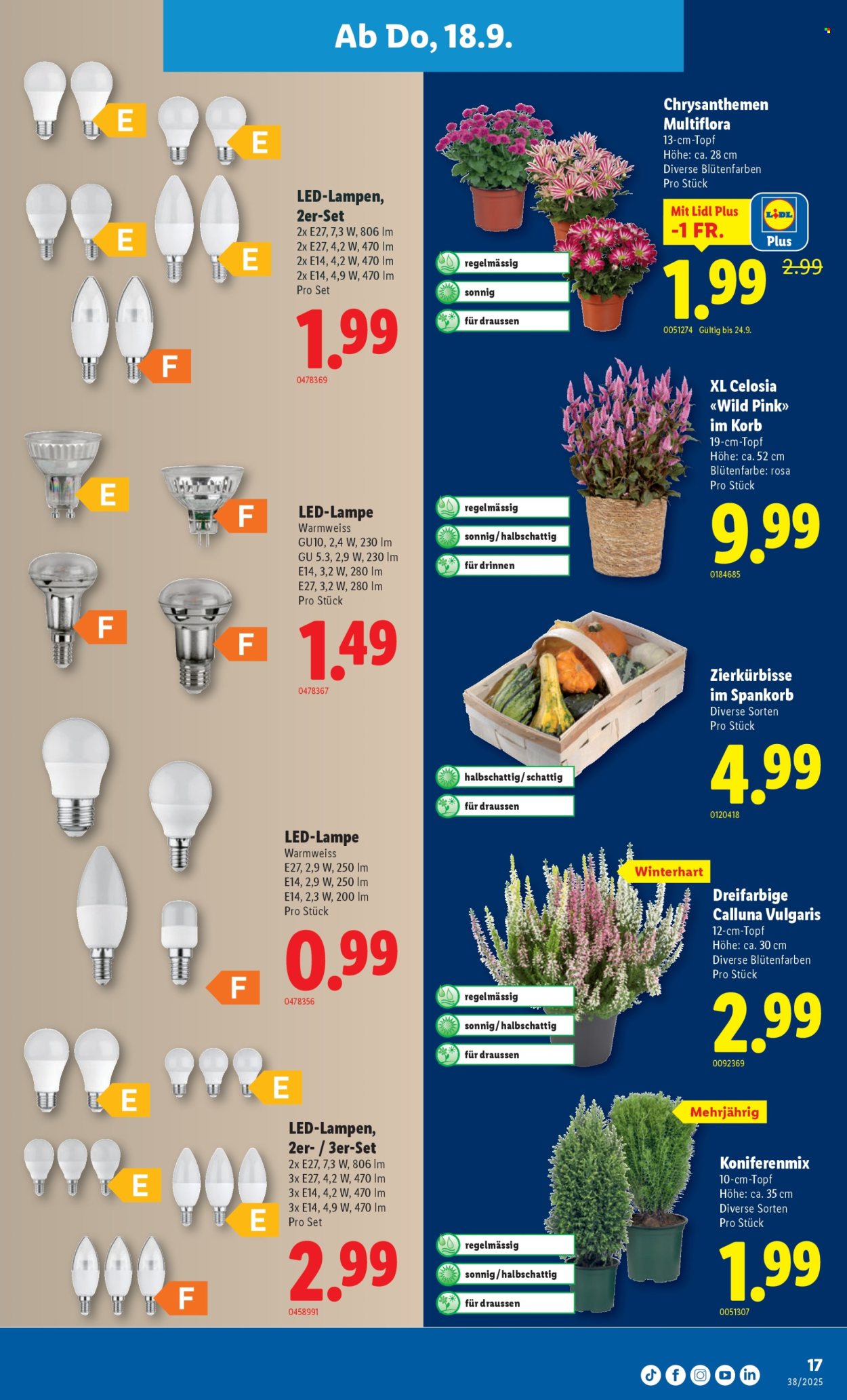 Volantino Lidl - 18.9.2025 - 24.9.2025. Pagina 17. Pagina 17