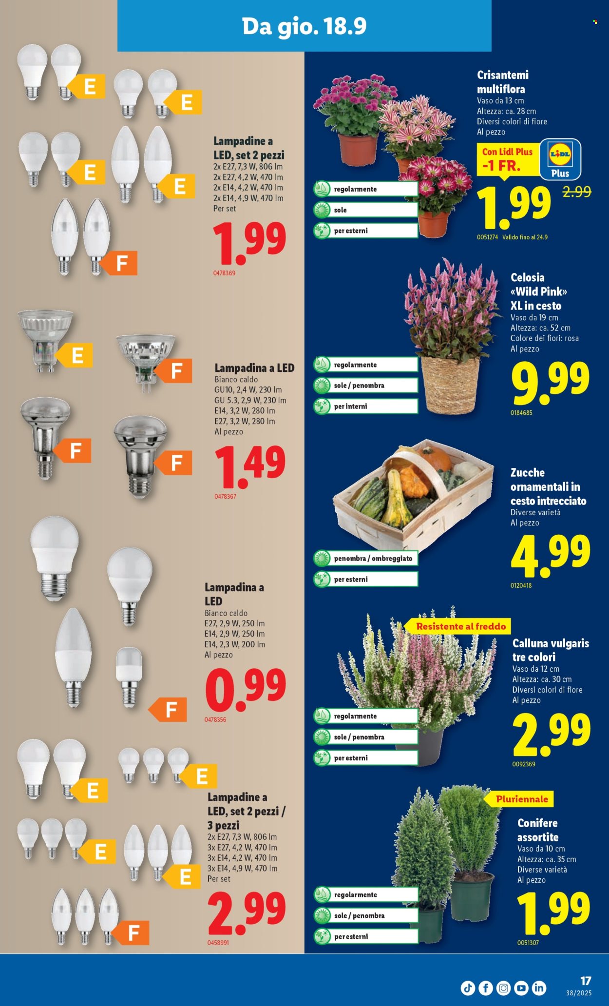 Volantino Lidl - 18.9.2025 - 24.9.2025. Pagina 17. Pagina 17