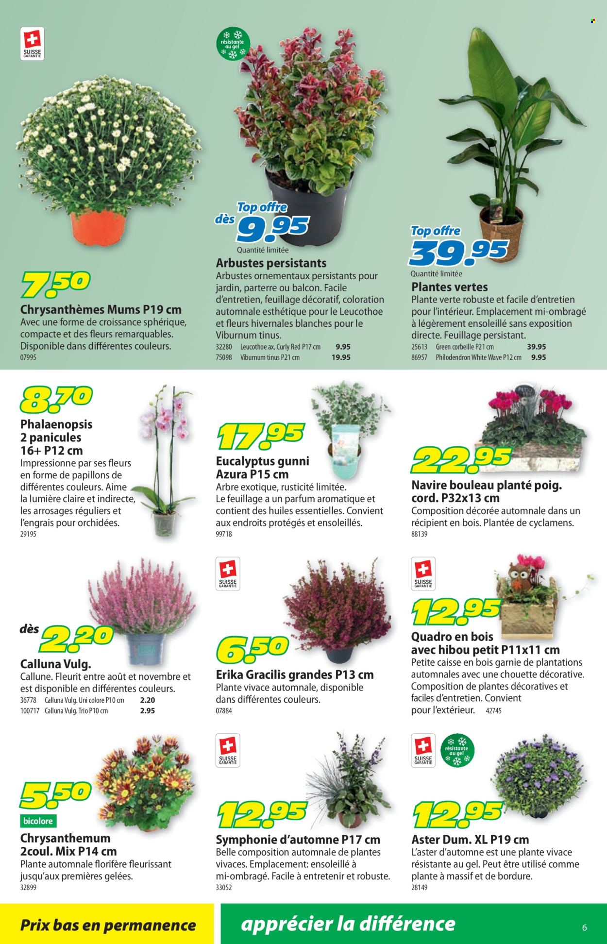 Volantino Landi - 15.9.2025 - 28.9.2025. Pagina 10. Pagina 10