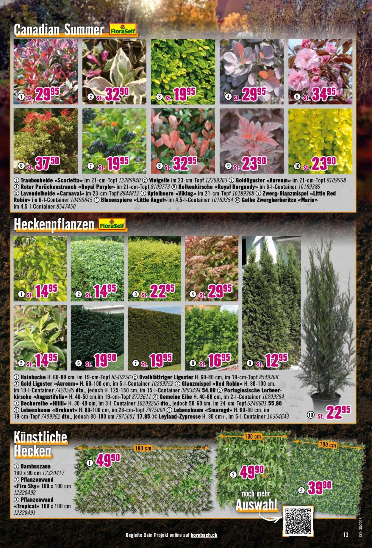 Volantino Hornbach - 16.9.2025 - 13.10.2025. Pagina 13. Pagina 13