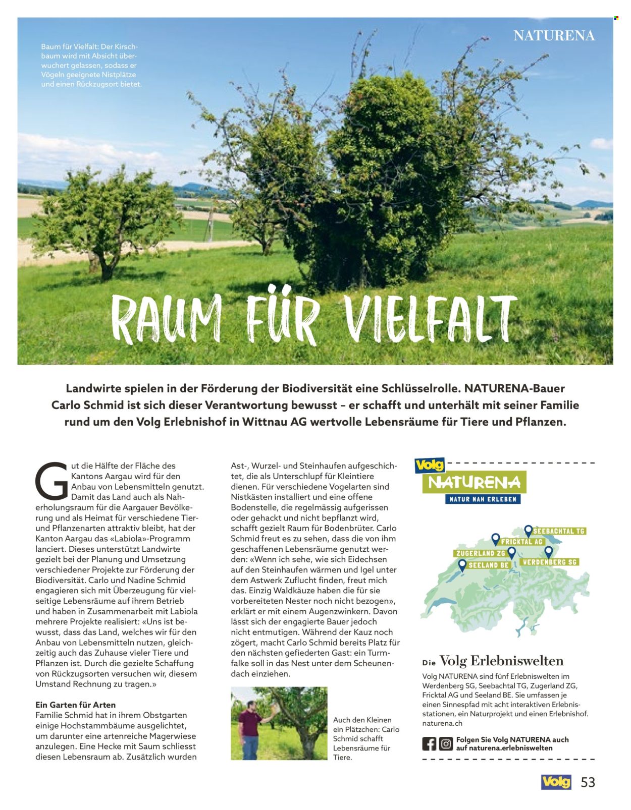 Volantino Volg - 1.10.2025 - 31.10.2025. Pagina 53. Pagina 53