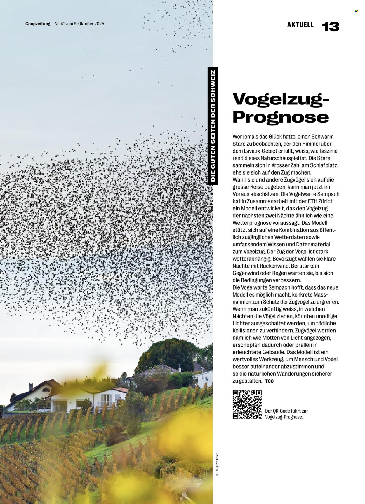 Volantino Coop - 9.10.2025 - 15.10.2025. Pagina 13. Pagina 13