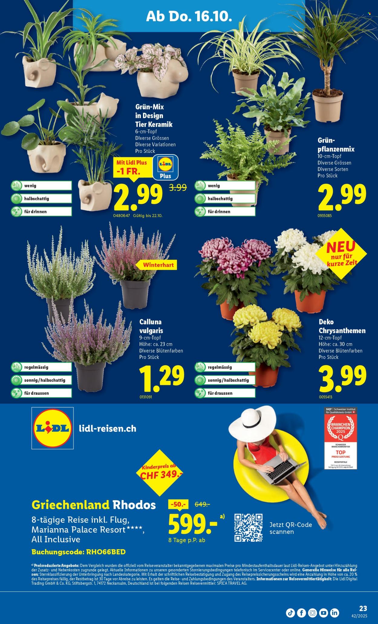 Volantino Lidl - 16.10.2025 - 22.10.2025. Pagina 23. Pagina 23