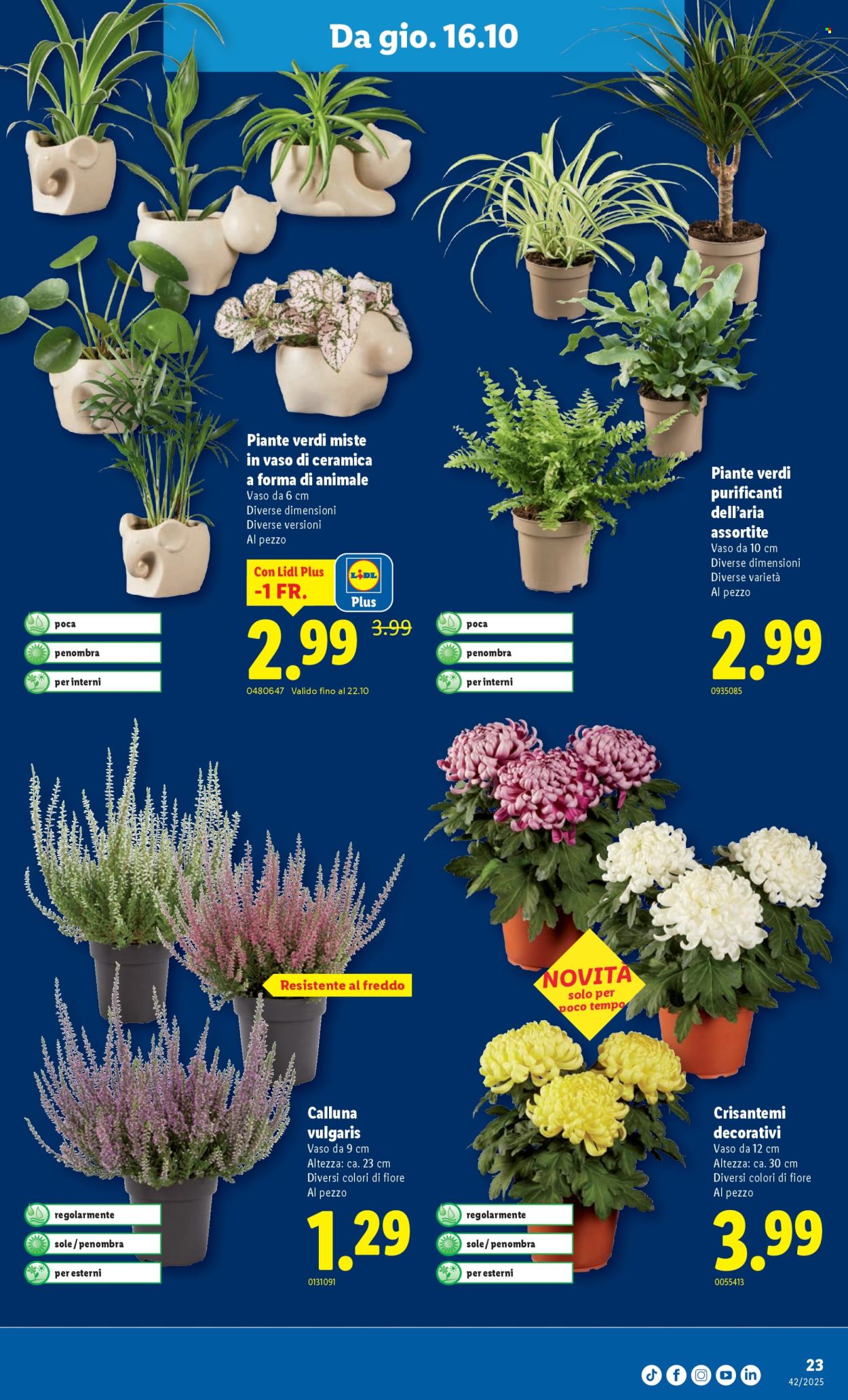 Volantino Lidl - 16.10.2025 - 22.10.2025. Pagina 23. Pagina 23