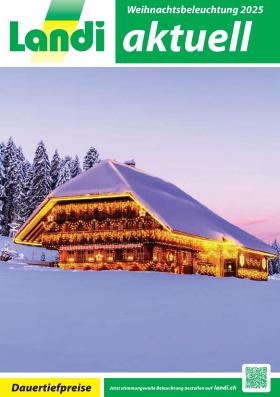 Landi - Weihnachtsbeleuchtung