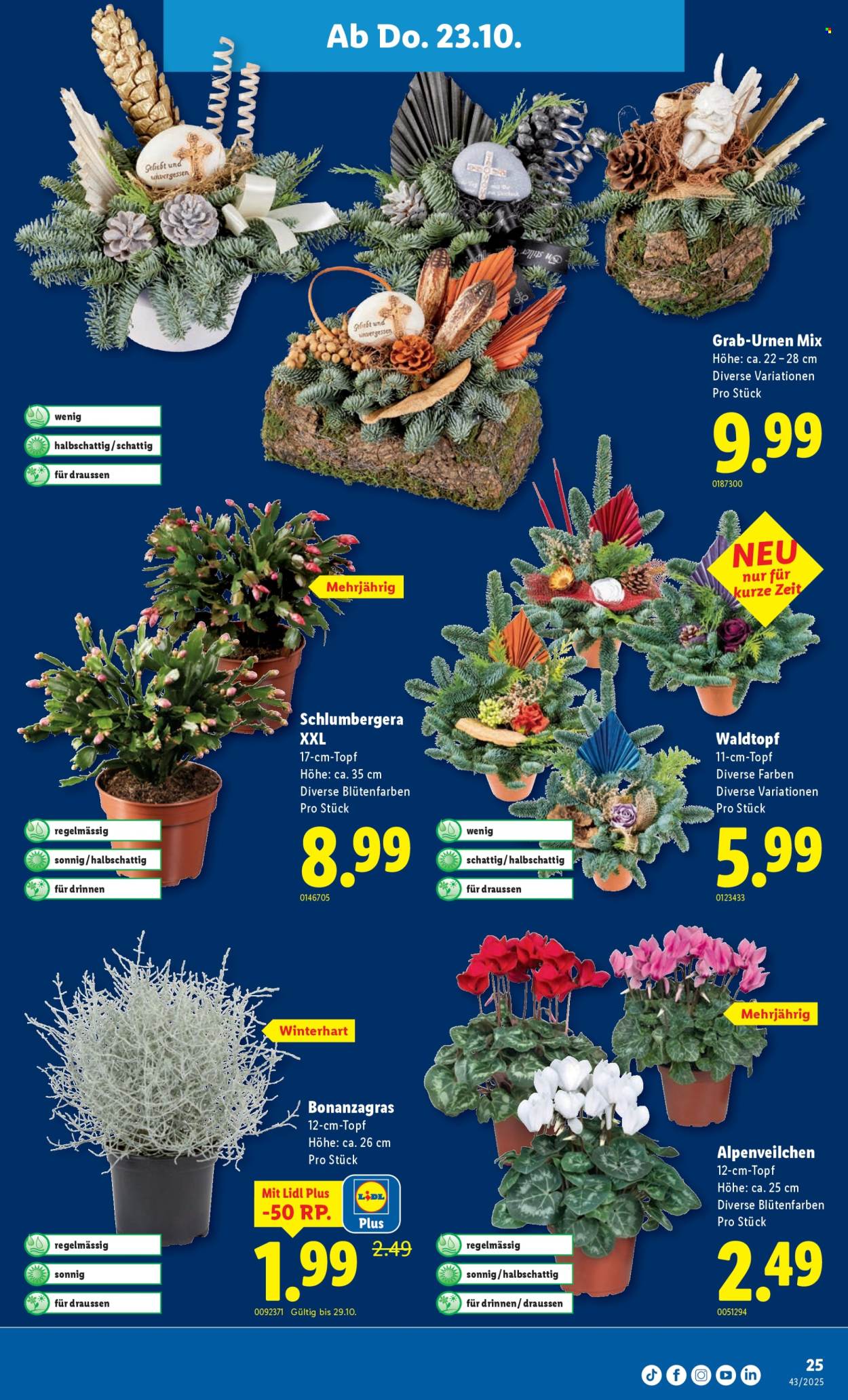Volantino Lidl - 23.10.2025 - 29.10.2025. Pagina 25. Pagina 25