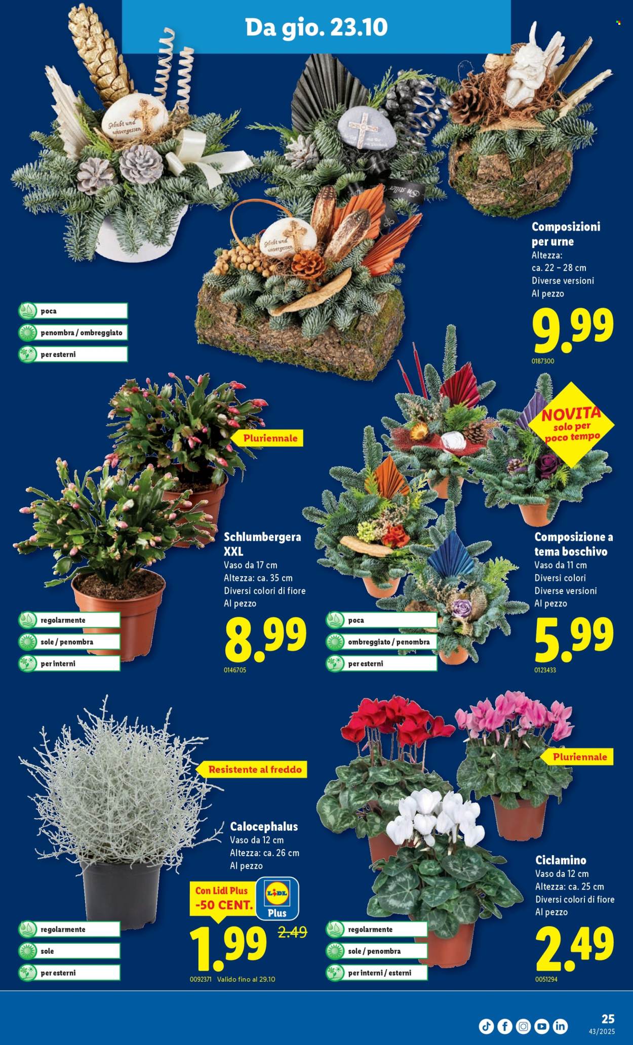 Volantino Lidl - 23.10.2025 - 29.10.2025. Pagina 25. Pagina 25