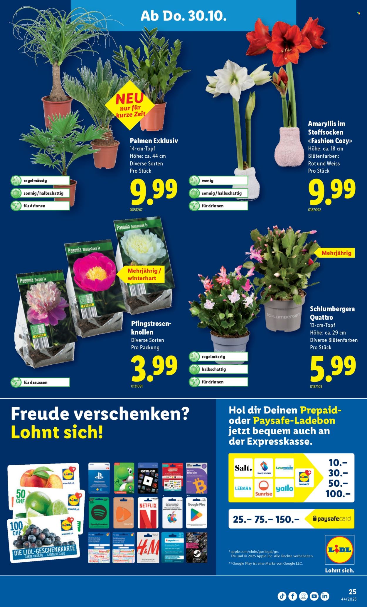Volantino Lidl - 30.10.2025 - 5.11.2025. Pagina 25. Pagina 25