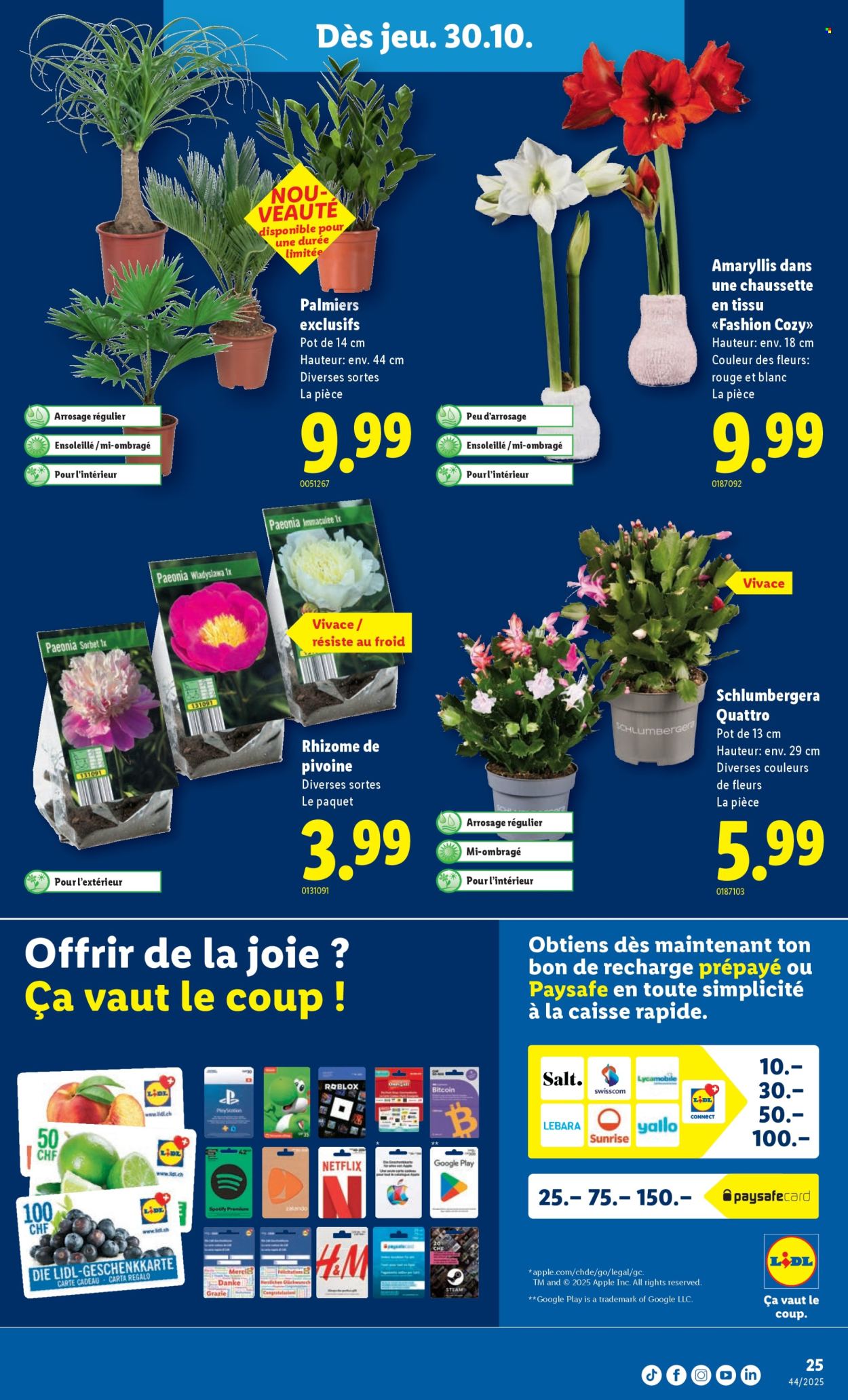 Volantino Lidl - 30.10.2025 - 5.11.2025. Pagina 25. Pagina 25