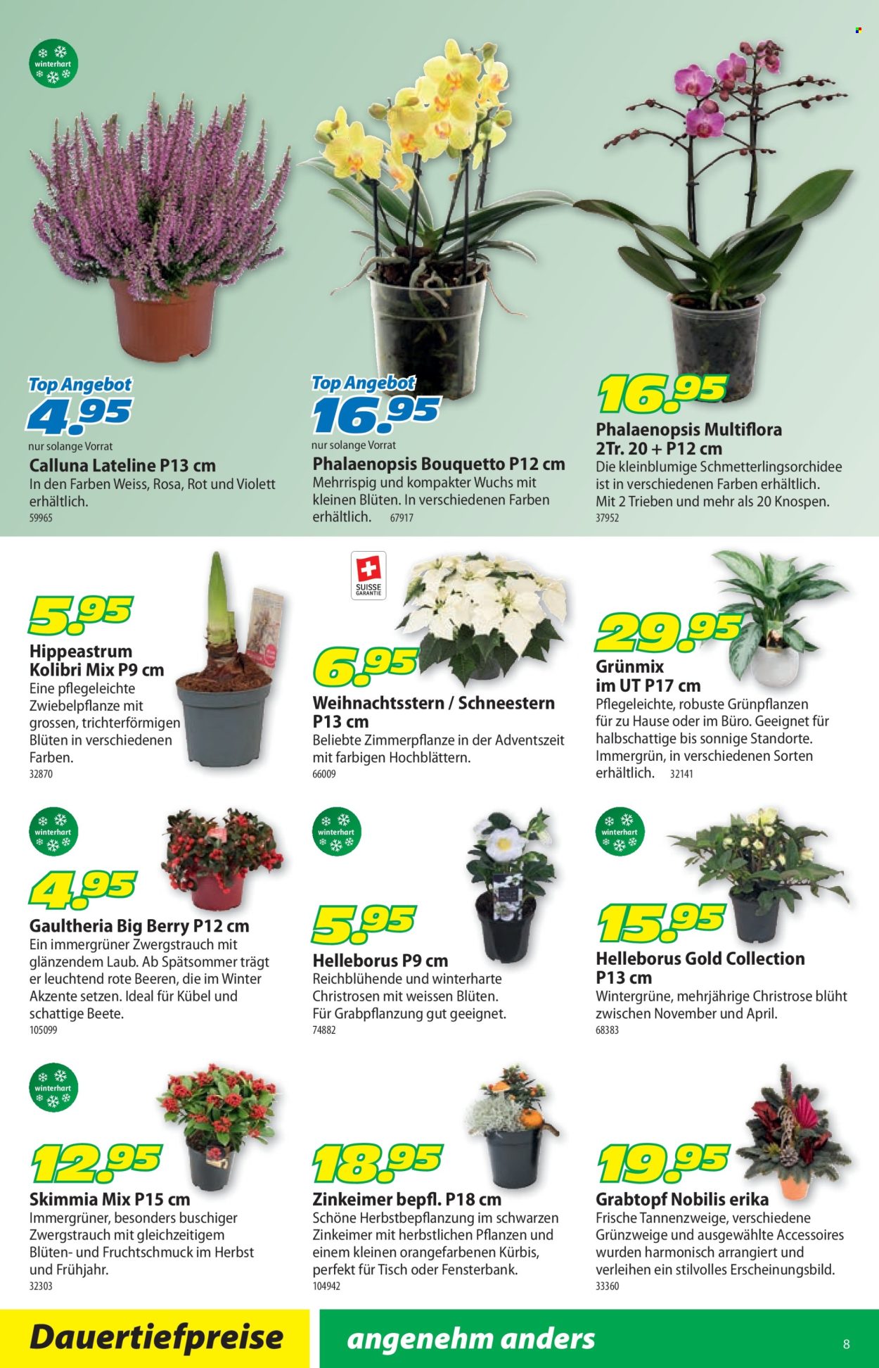 Volantino Landi - 27.10.2025 - 9.11.2025. Pagina 12. Pagina 12