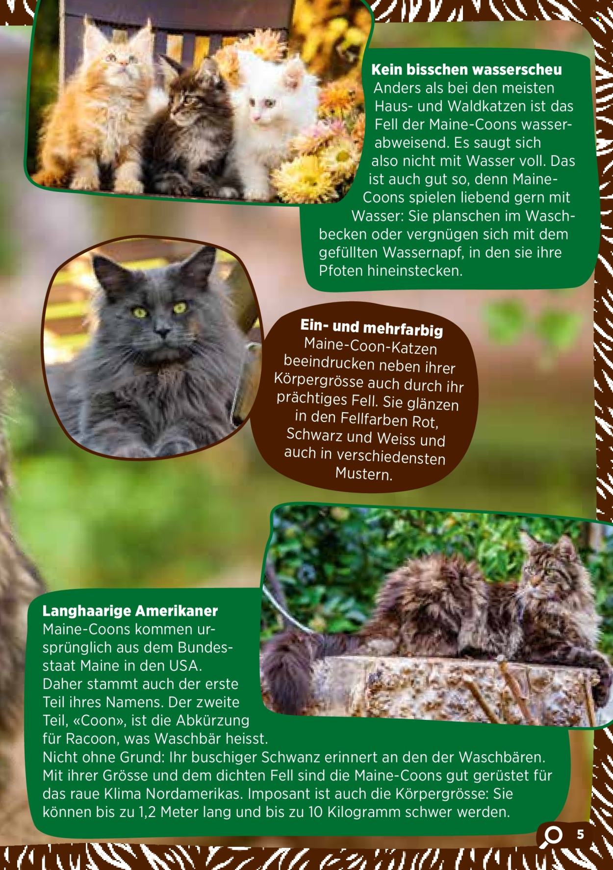 Volantino Volg. Pagina 7. Pagina 7