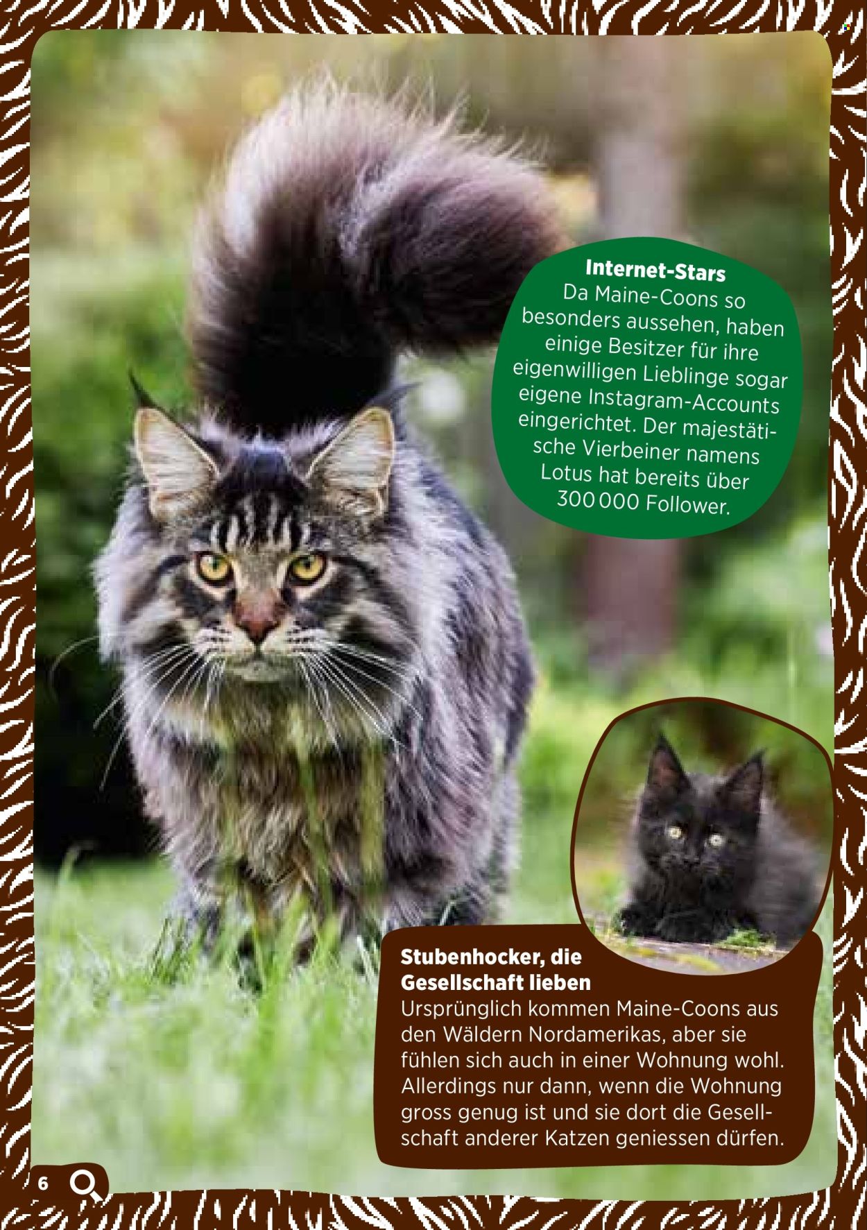 Volantino Volg. Pagina 8. Pagina 8