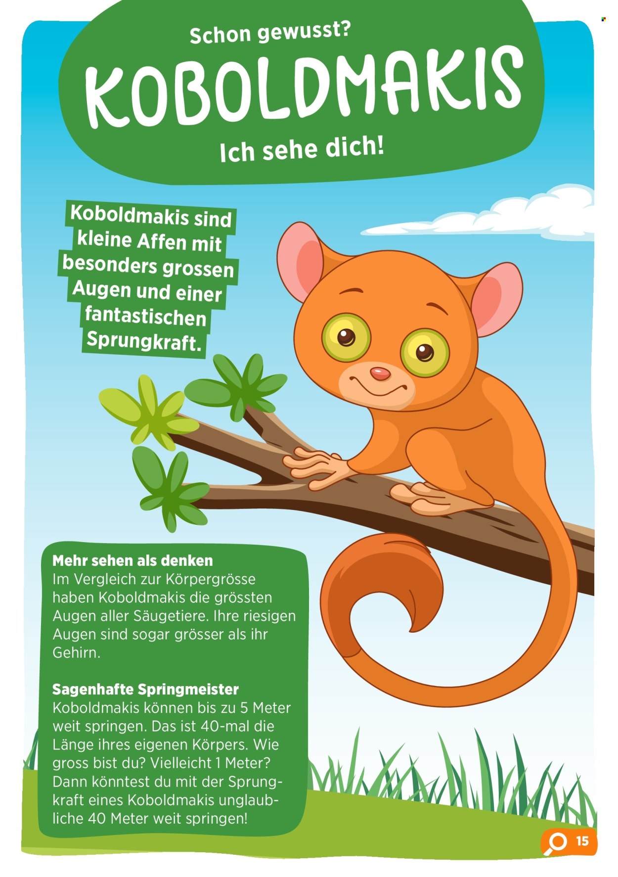 Volantino Volg. Pagina 17. Pagina 17