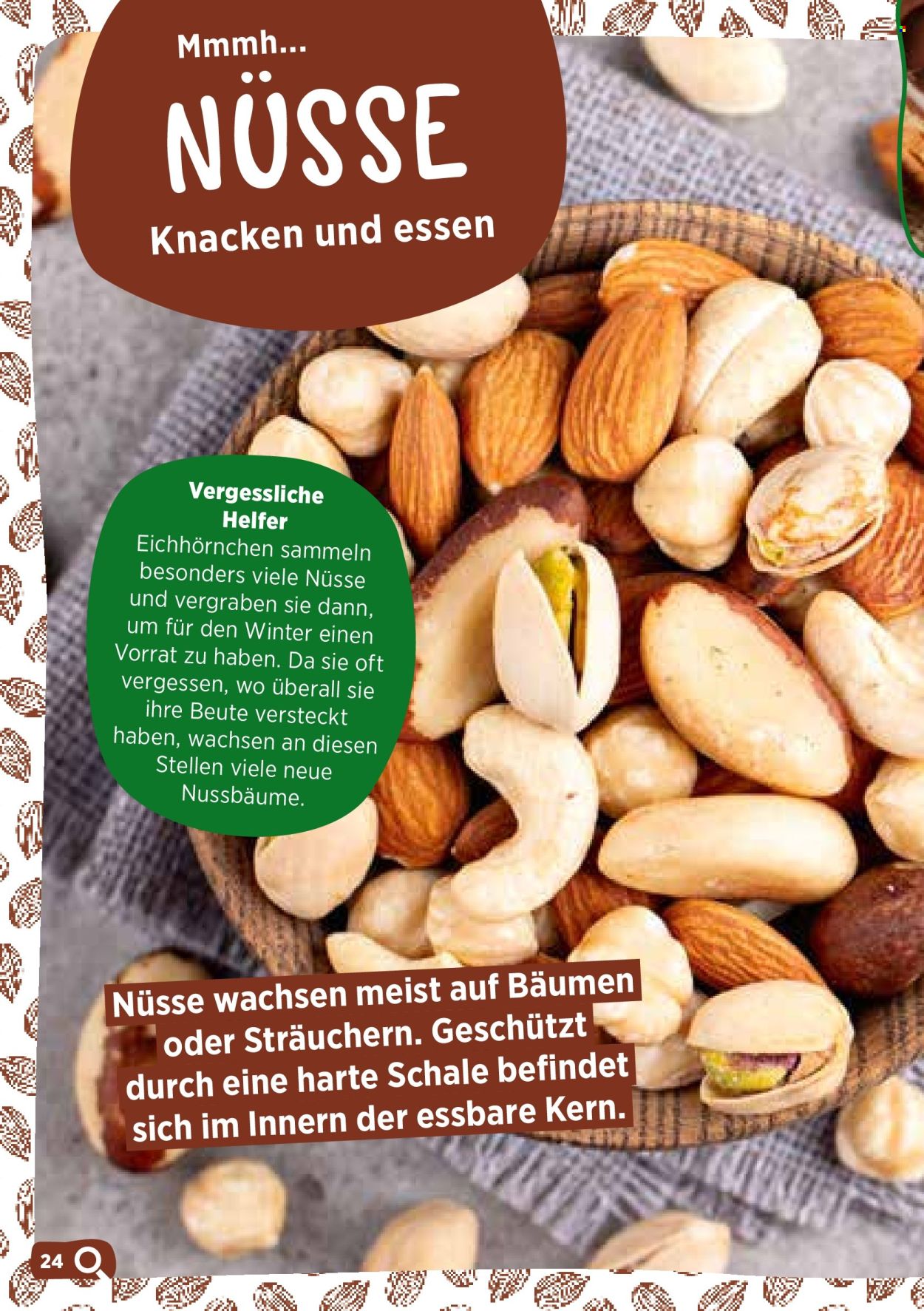 Volantino Volg. Pagina 26. Pagina 26