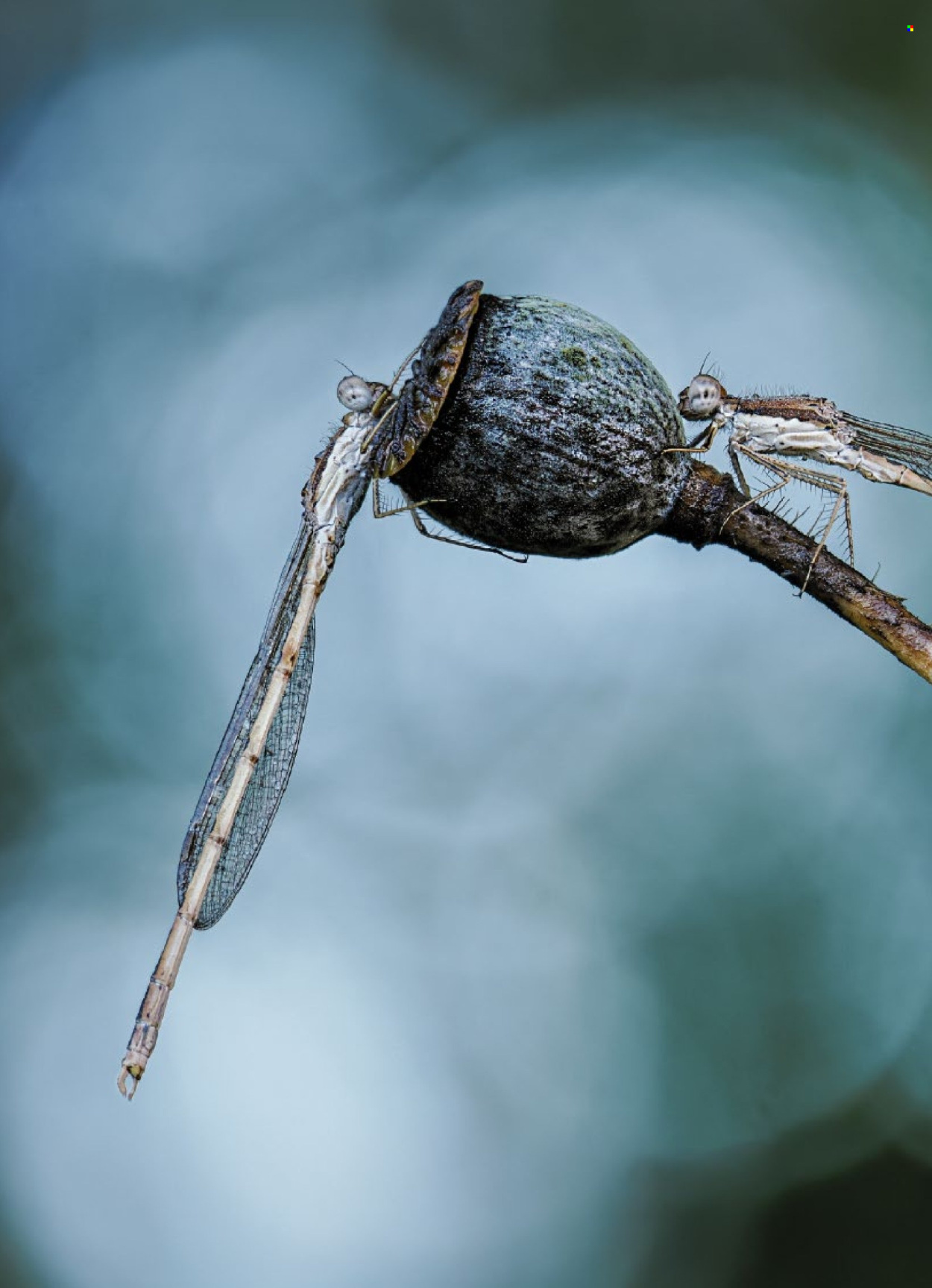 Volantino Coop - 27.11.2025 - 3.12.2025. Pagina 12. Pagina 12