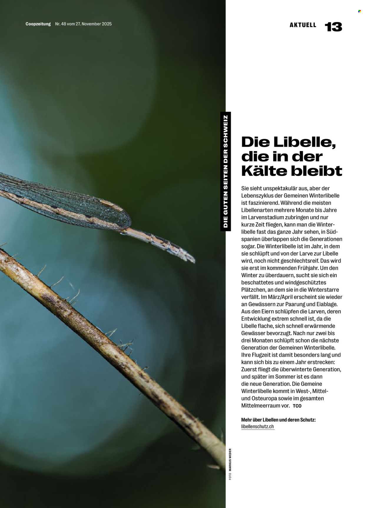 Volantino Coop - 27.11.2025 - 3.12.2025. Pagina 13. Pagina 13