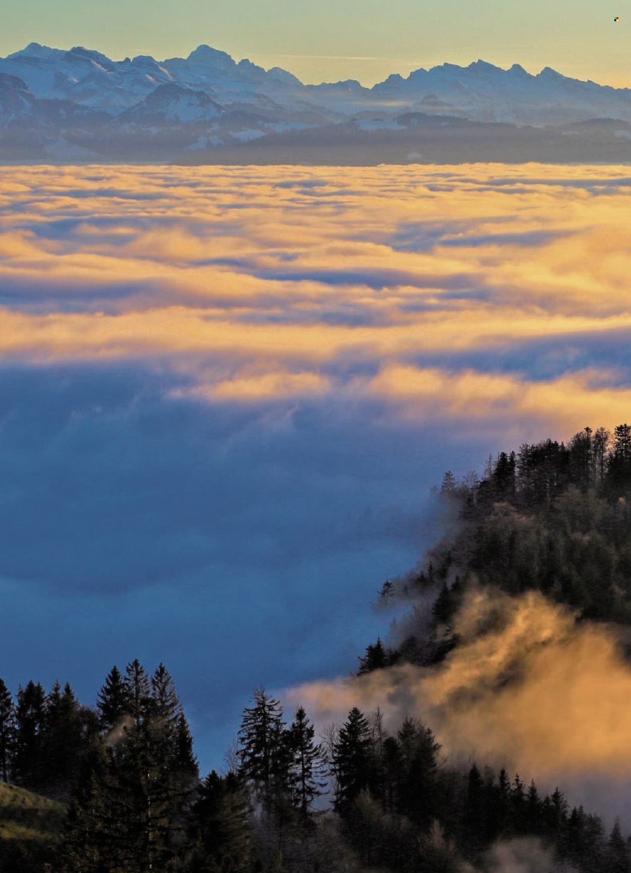 Volantino Coop - 27.11.2025 - 3.12.2025. Pagina 14. Pagina 14