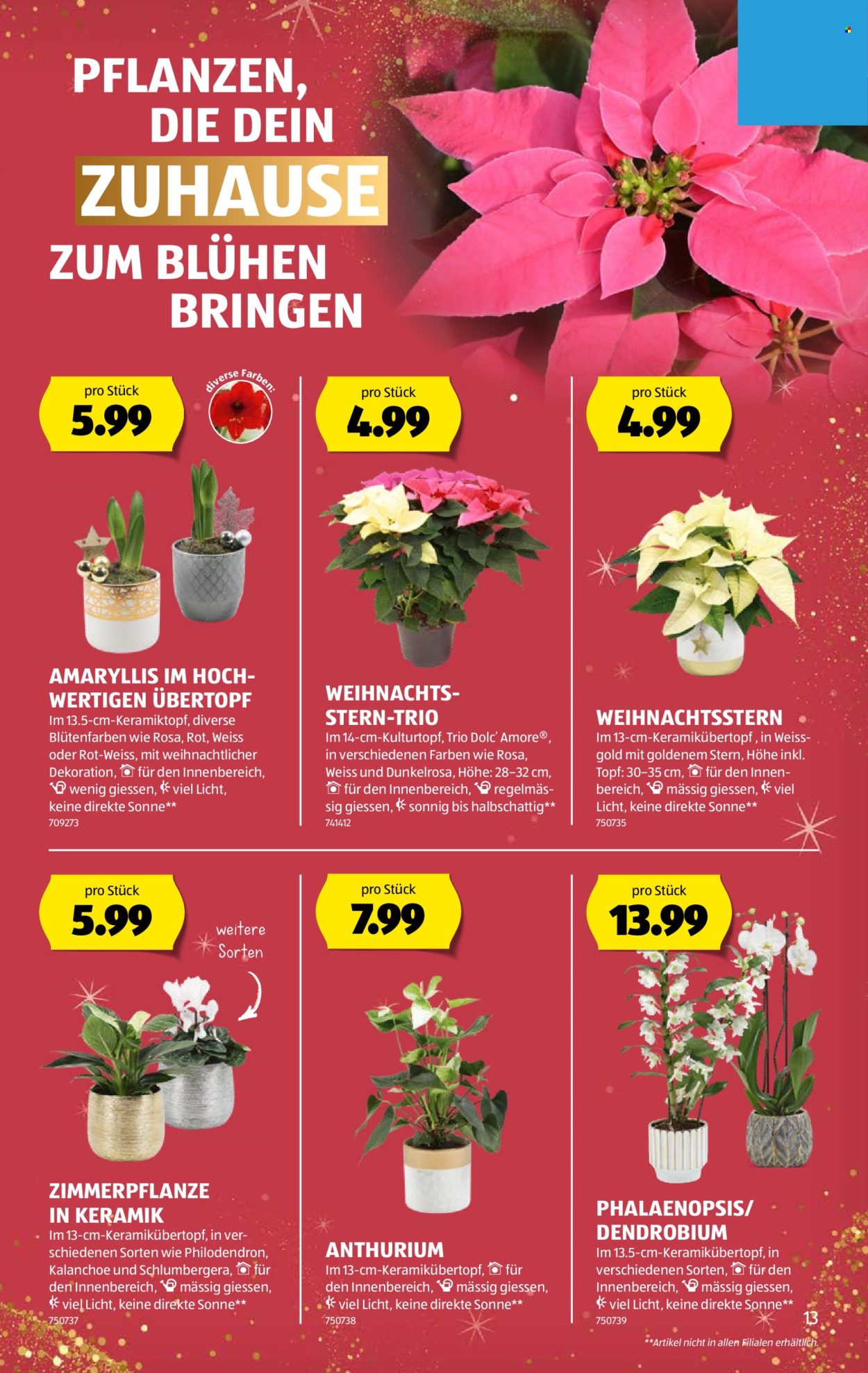 Volantino Aldi - 4.12.2025 - 10.12.2025. Pagina 13. Pagina 13