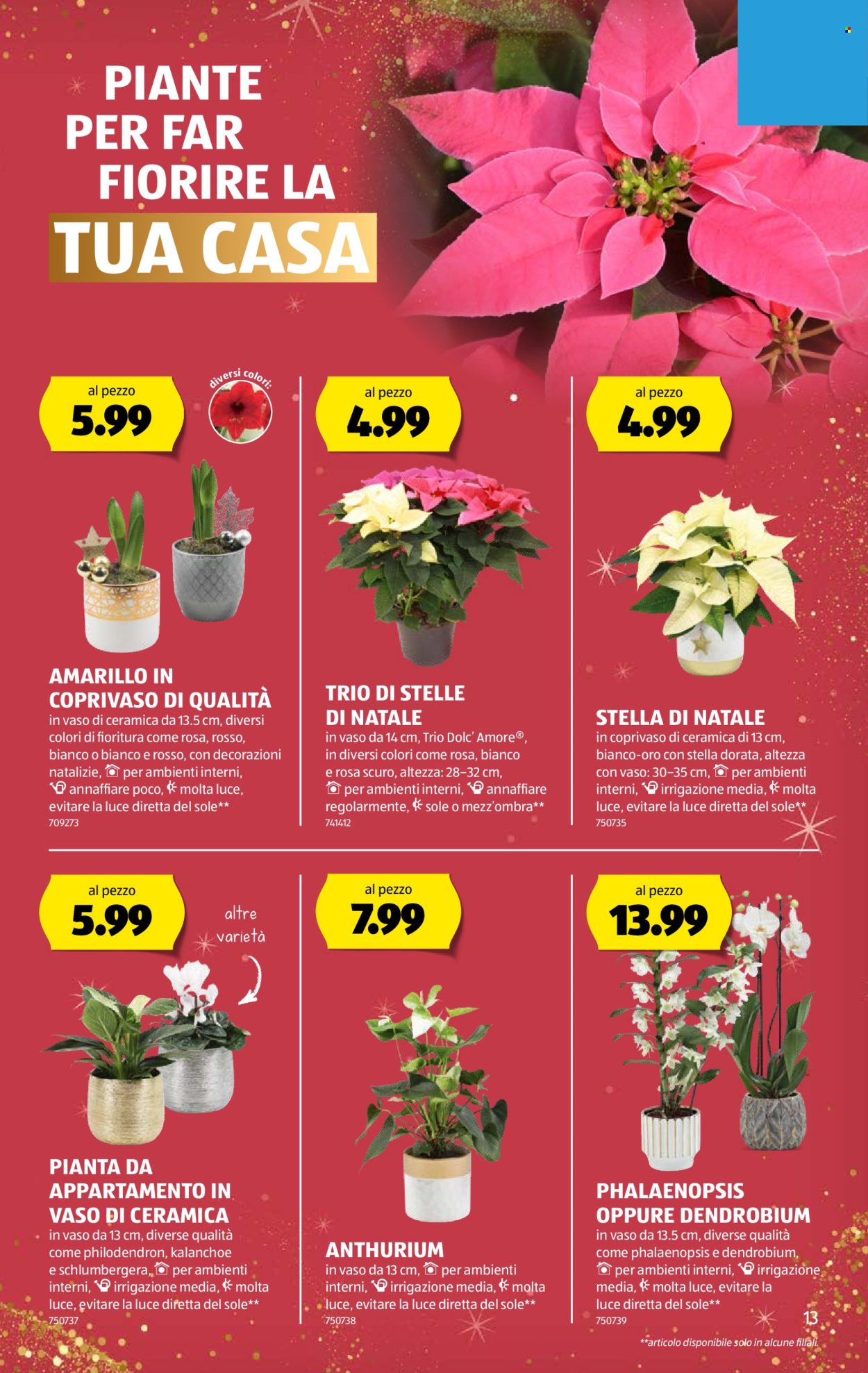 Volantino Aldi - 4.12.2025 - 10.12.2025. Pagina 13. Pagina 13