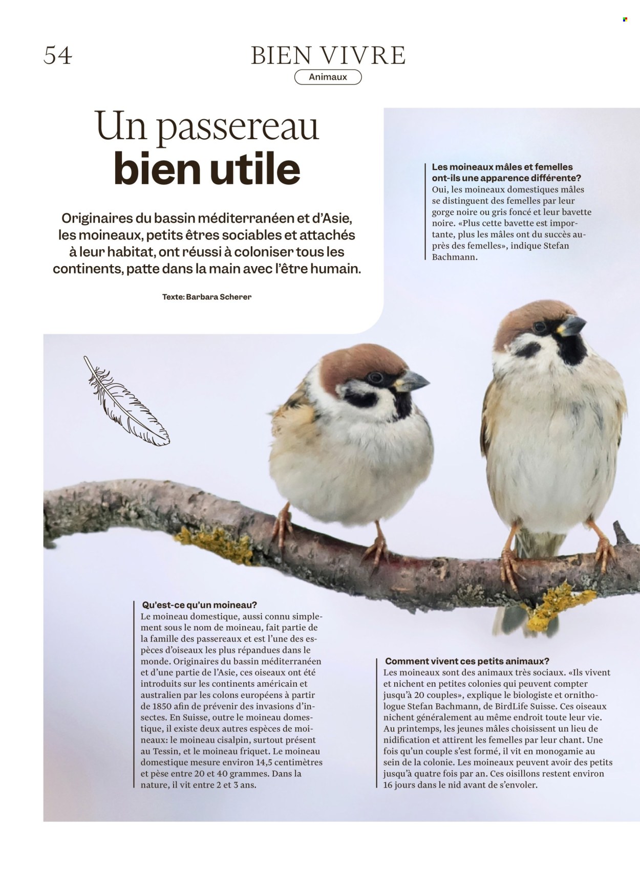 Volantino Migros - 2.12.2025 - 8.12.2025. Pagina 54. Pagina 54