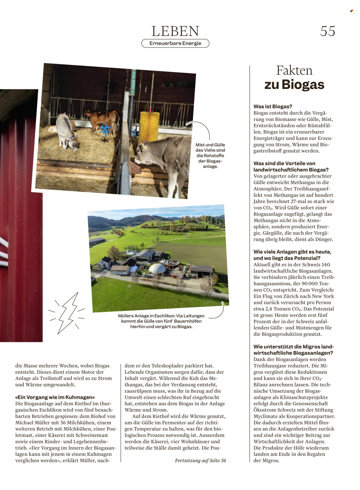 Volantino Migros - 2.12.2025 - 8.12.2025. Pagina 55. Pagina 55