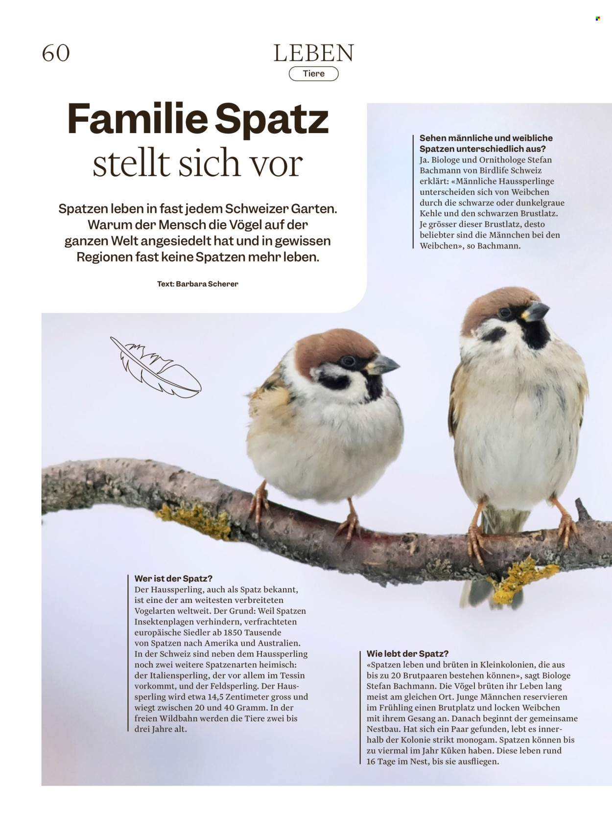 Volantino Migros - 2.12.2025 - 8.12.2025. Pagina 60. Pagina 60