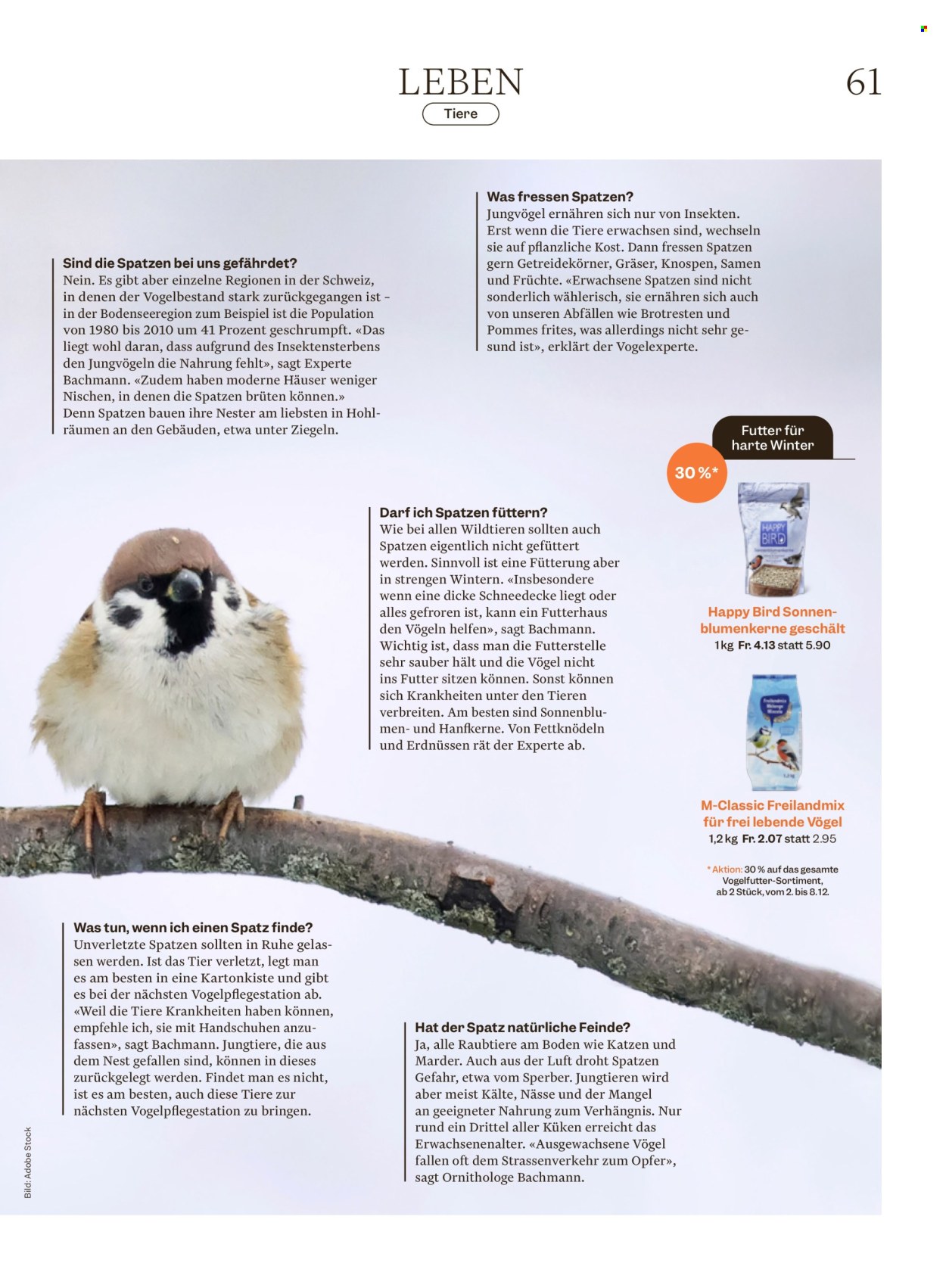 Volantino Migros - 2.12.2025 - 8.12.2025. Pagina 61. Pagina 61