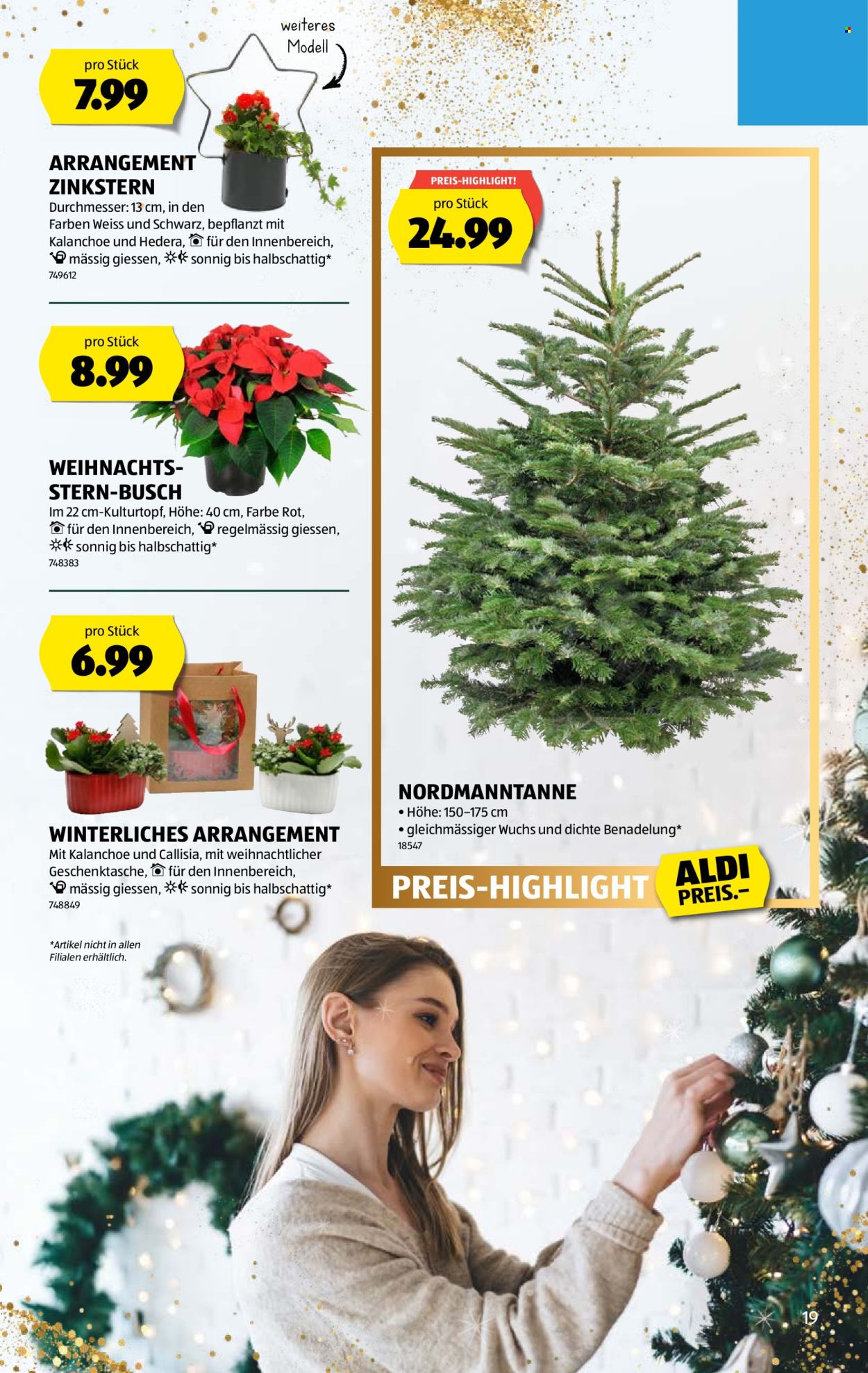 Volantino Aldi - 11.12.2025 - 17.12.2025. Pagina 19. Pagina 19