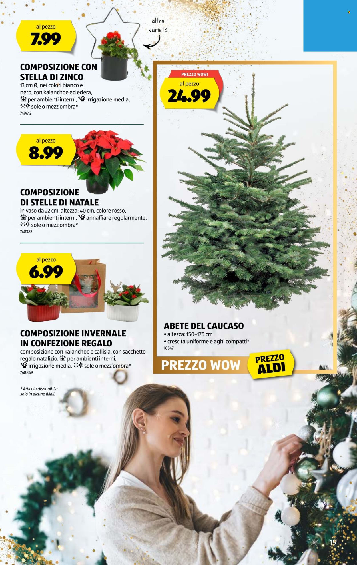 Volantino Aldi - 11.12.2025 - 17.12.2025. Pagina 19. Pagina 19