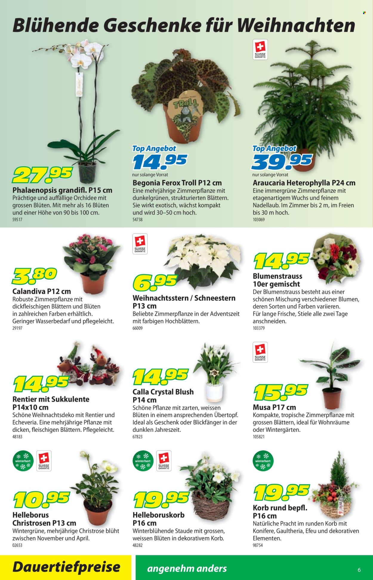 Volantino Landi - 8.12.2025 - 21.12.2025. Pagina 10. Pagina 10