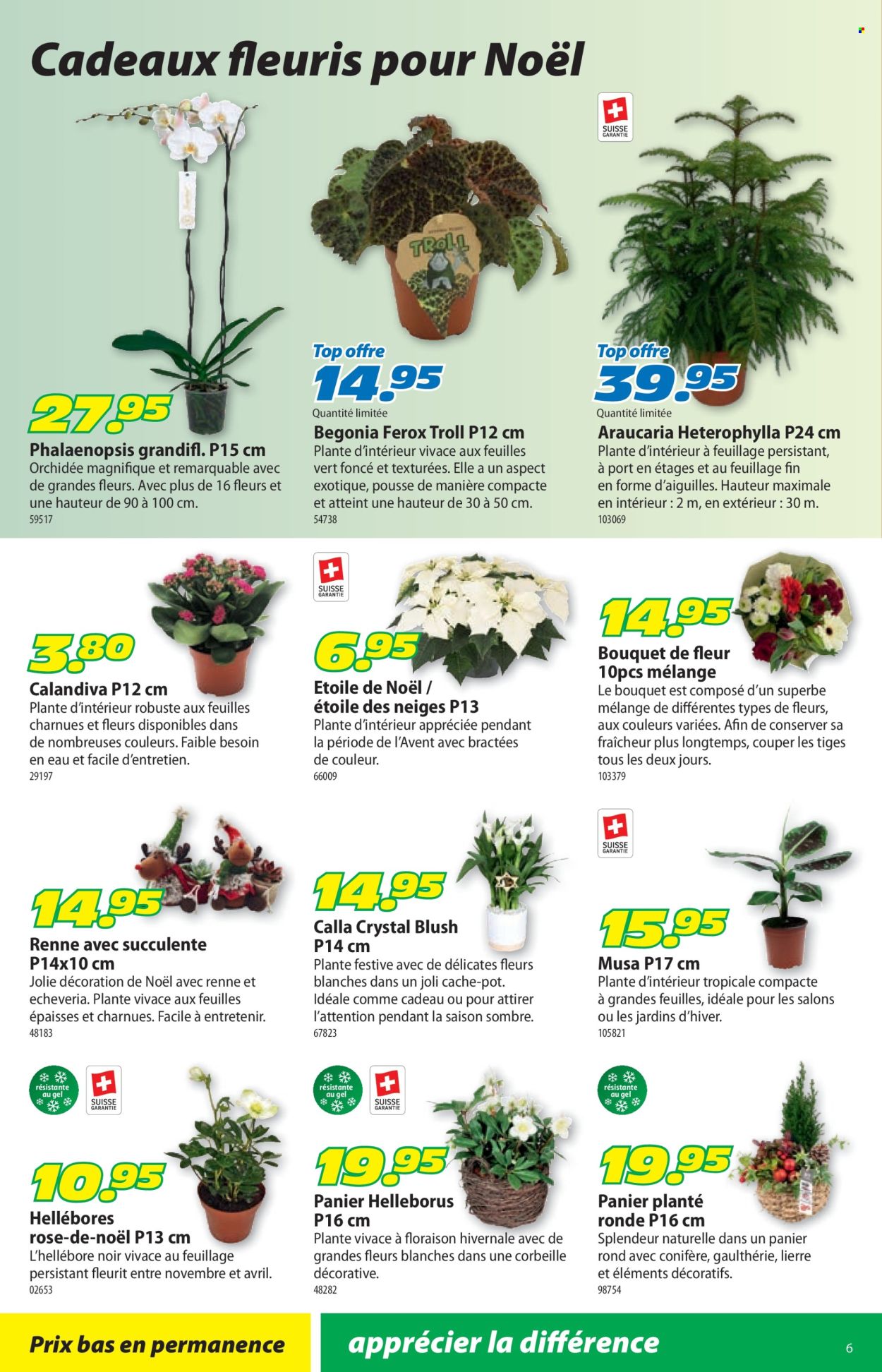 Volantino Landi - 8.12.2025 - 21.12.2025. Pagina 10. Pagina 10