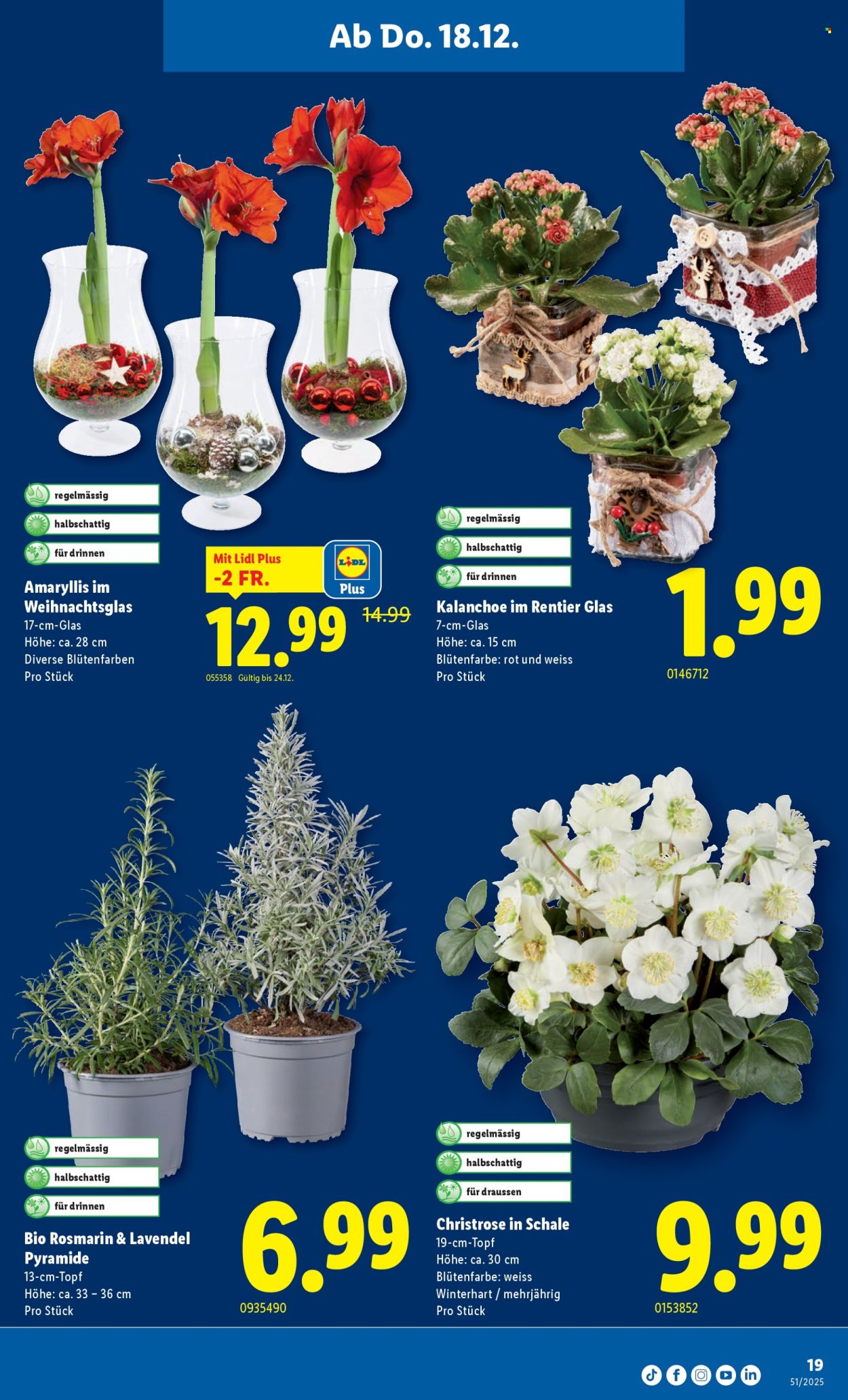 Volantino Lidl - 18.12.2025 - 24.12.2025. Pagina 19. Pagina 19