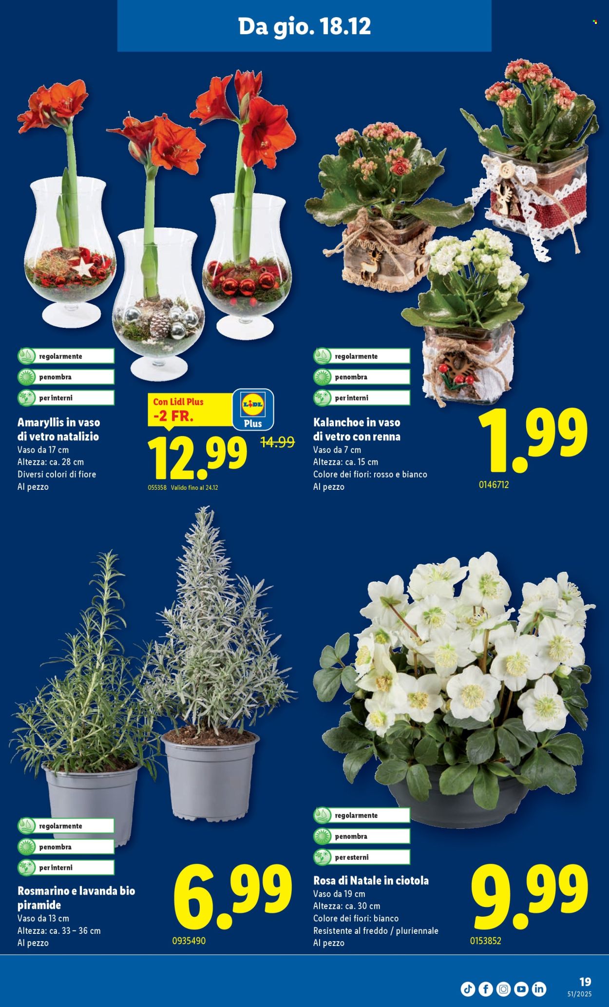 Volantino Lidl - 18.12.2025 - 24.12.2025. Pagina 19. Pagina 19