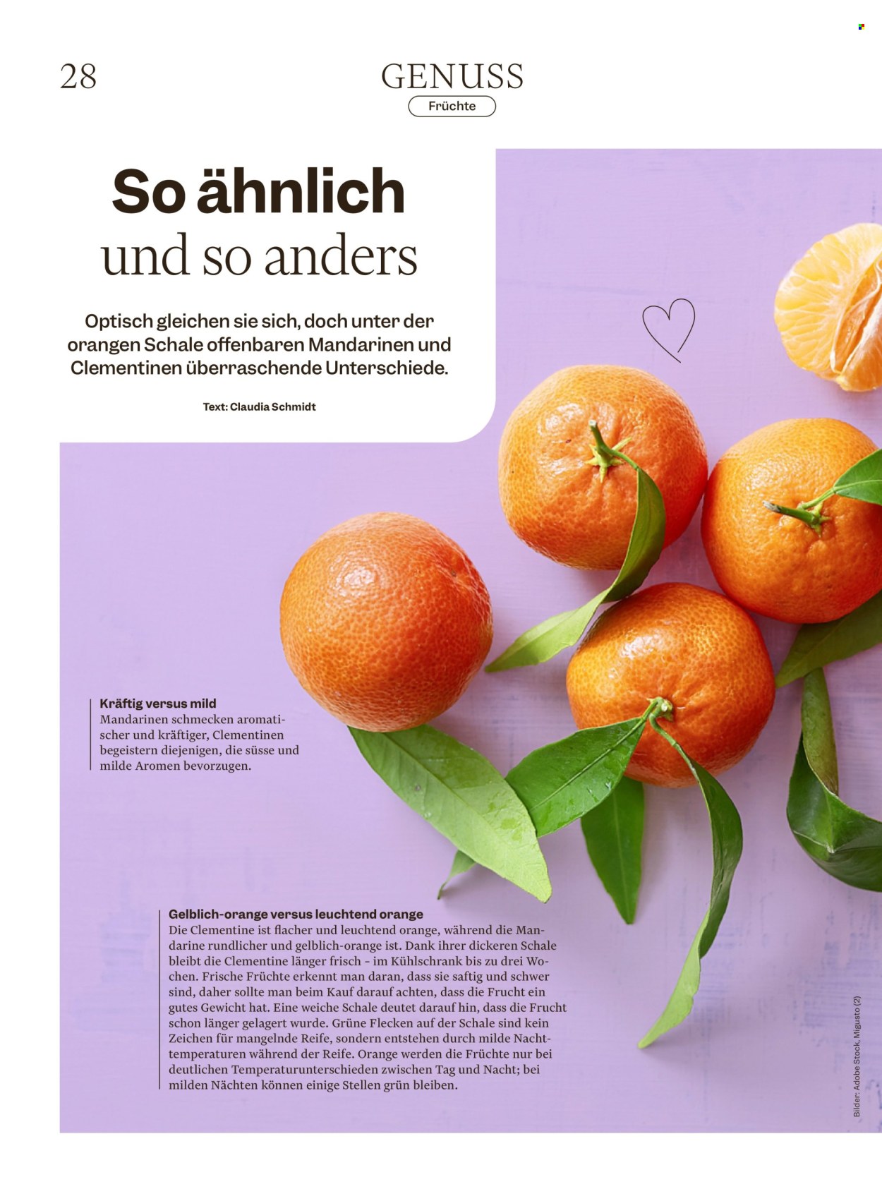 Volantino Migros - 16.12.2025 - 22.12.2025. Pagina 28. Pagina 28