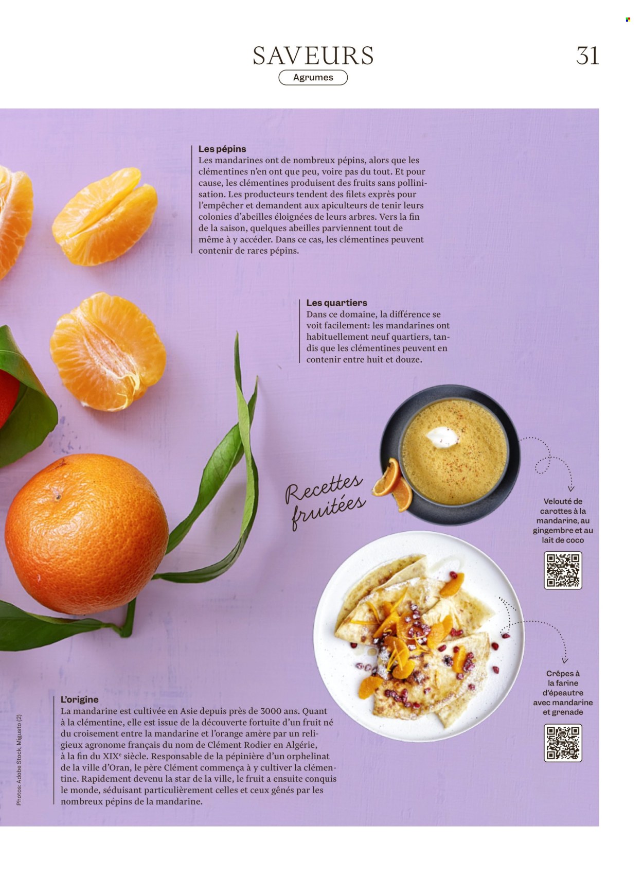 Volantino Migros - 16.12.2025 - 22.12.2025. Pagina 31. Pagina 31