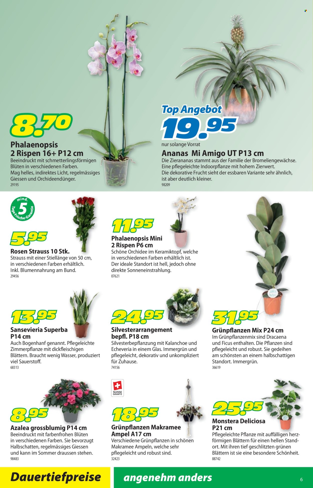 Volantino Landi - 22.12.2025 - 4.1.2026. Pagina 6. Pagina 6