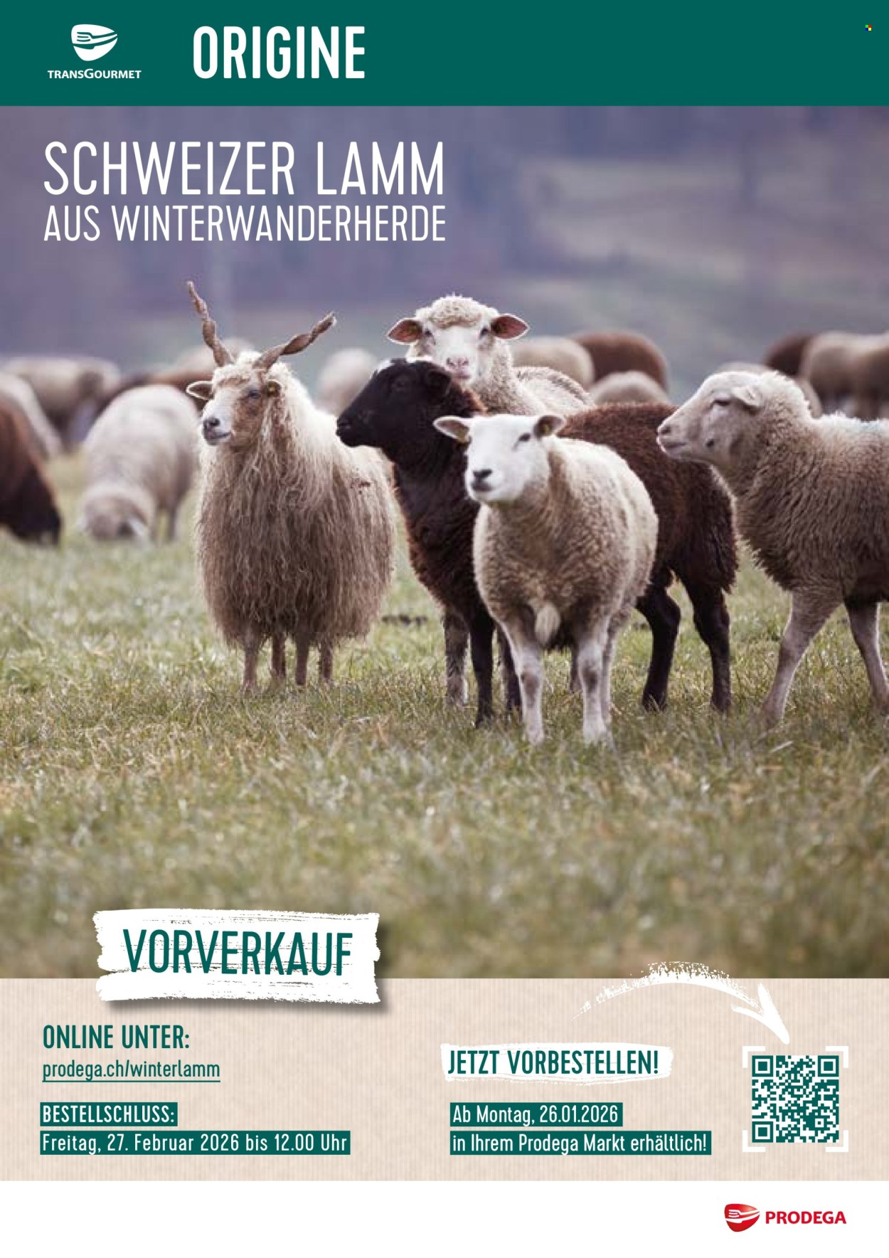 Volantino Prodega - 26.1.2026 - 27.2.2026. Pagina 1. Pagina 1