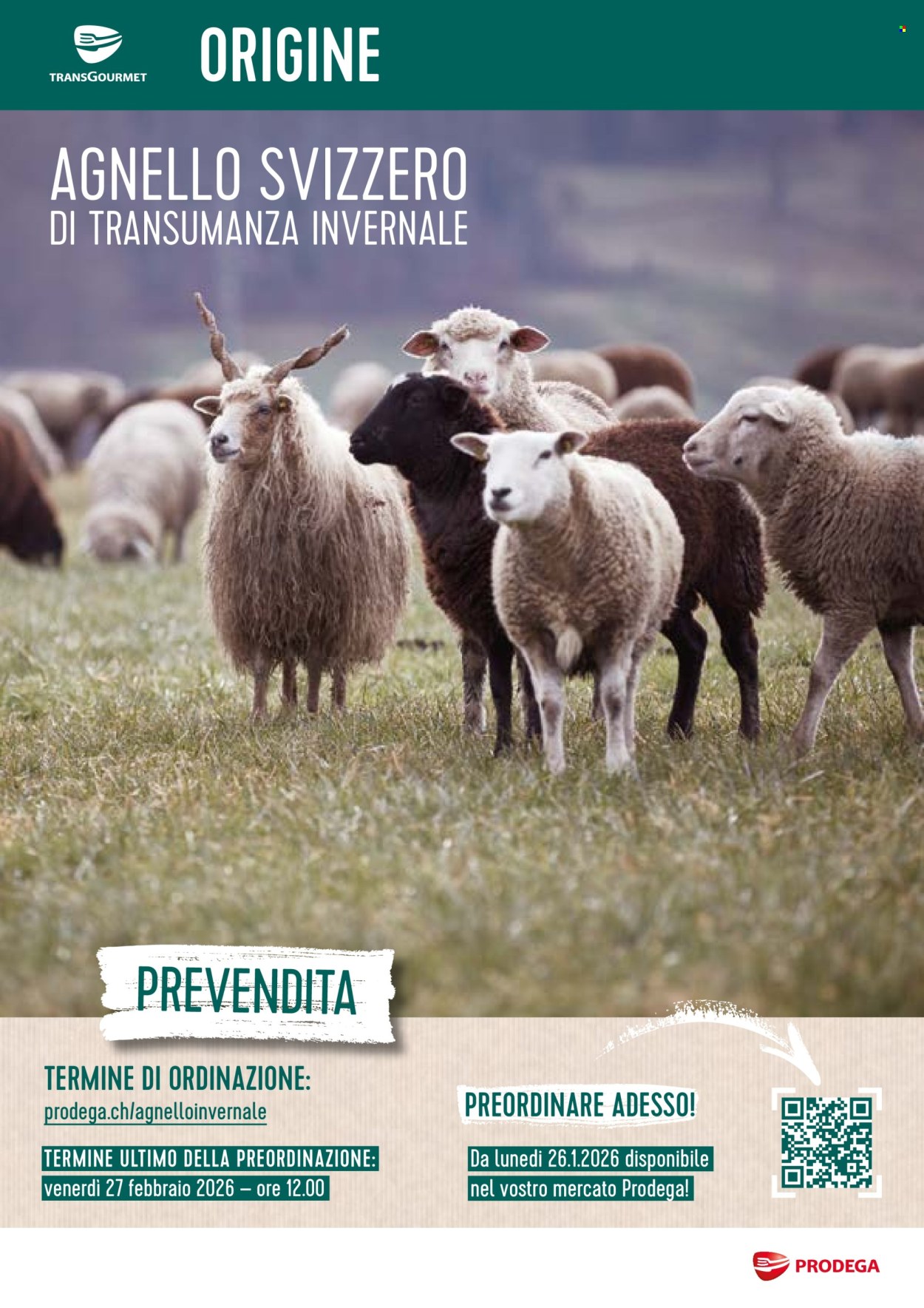 Volantino Prodega - 26.1.2026 - 27.2.2026. Pagina 1. Pagina 1