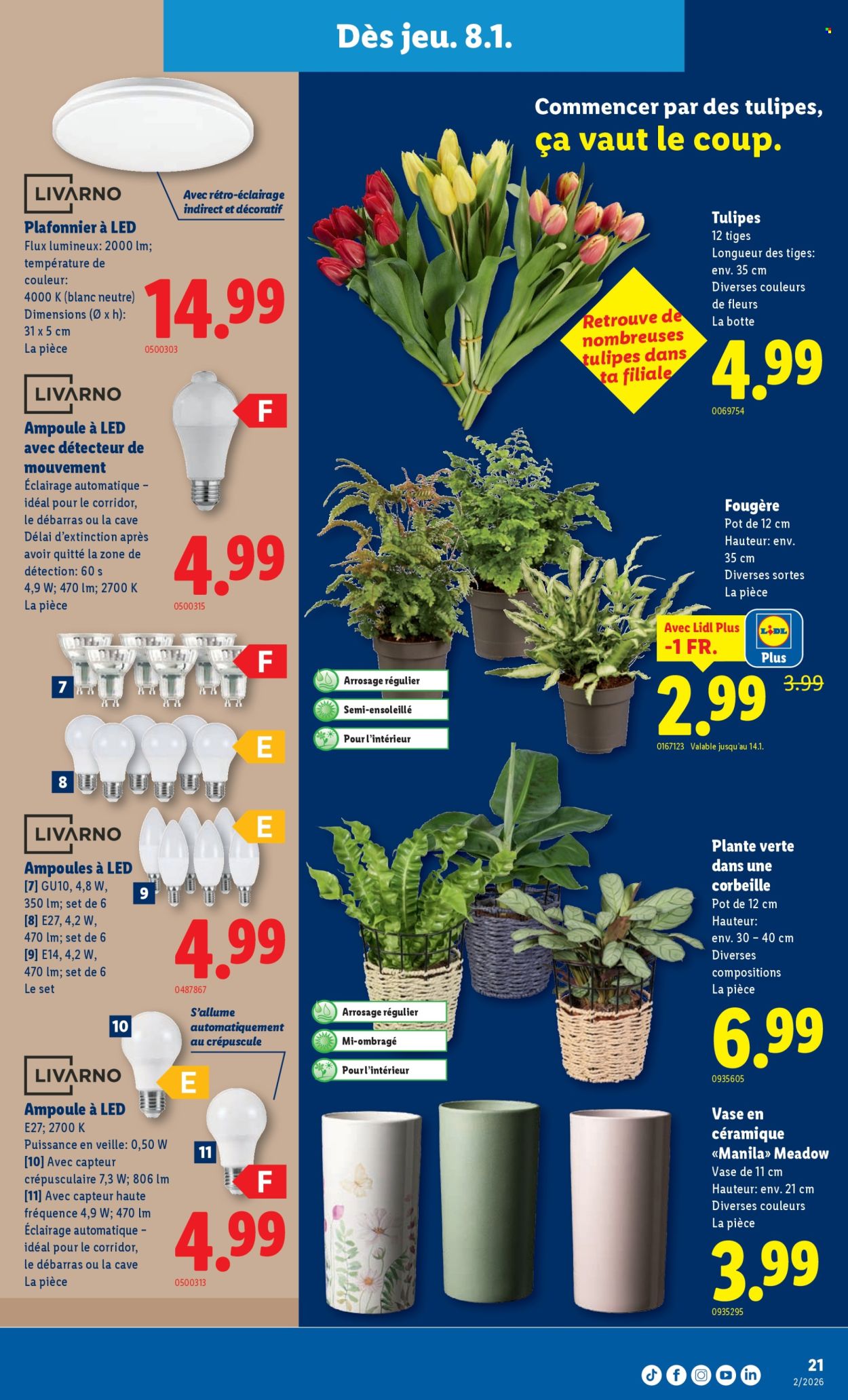 Volantino Lidl - 8.1.2026 - 14.1.2026. Pagina 21. Pagina 21