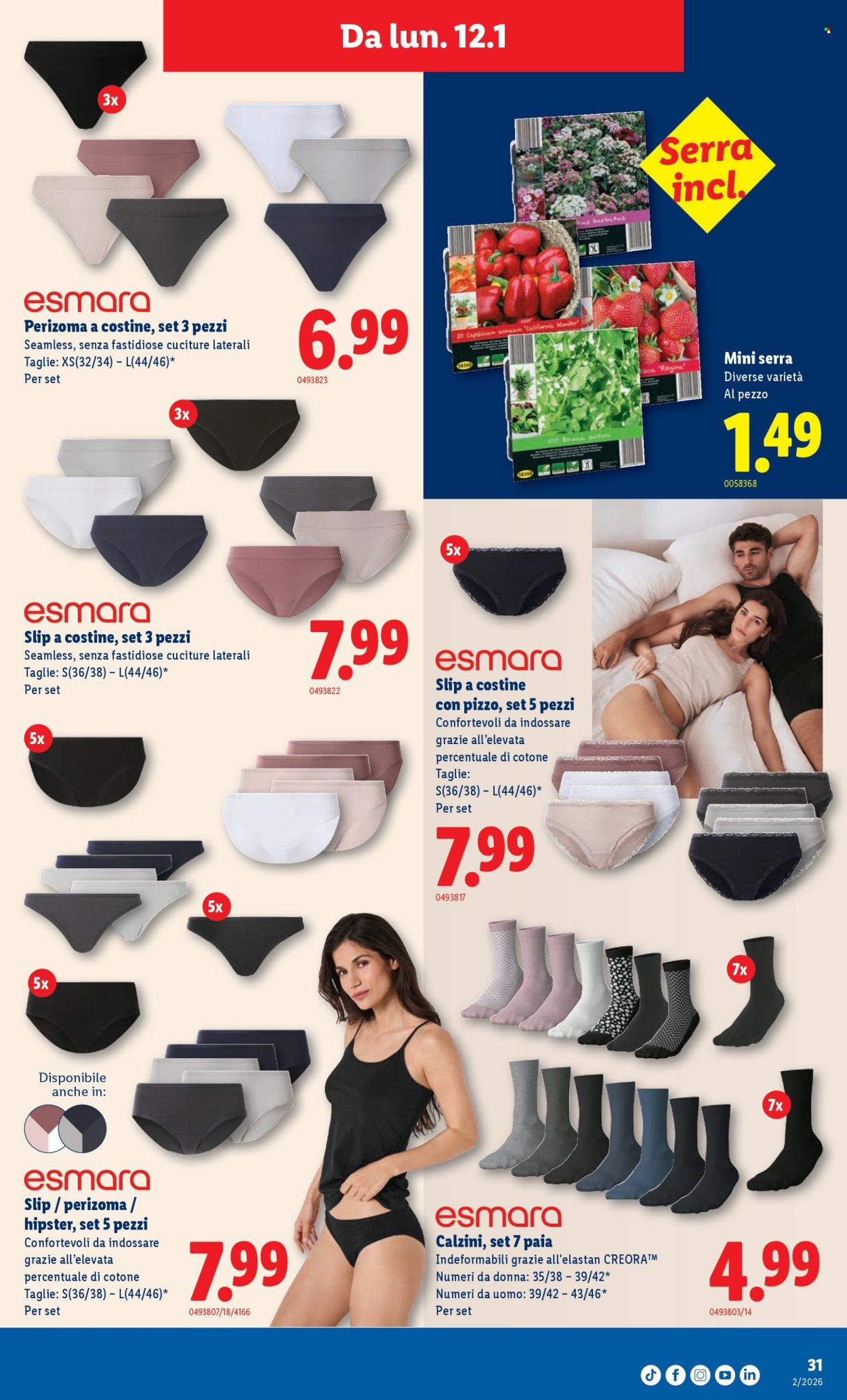 Volantino Lidl - 8.1.2026 - 14.1.2026. Pagina 31. Pagina 31