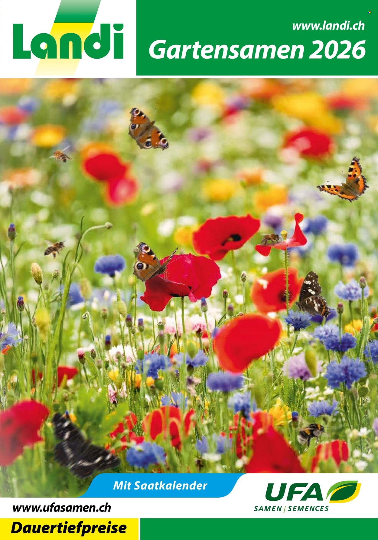 Volantino Landi. Pagina 1. Pagina 1