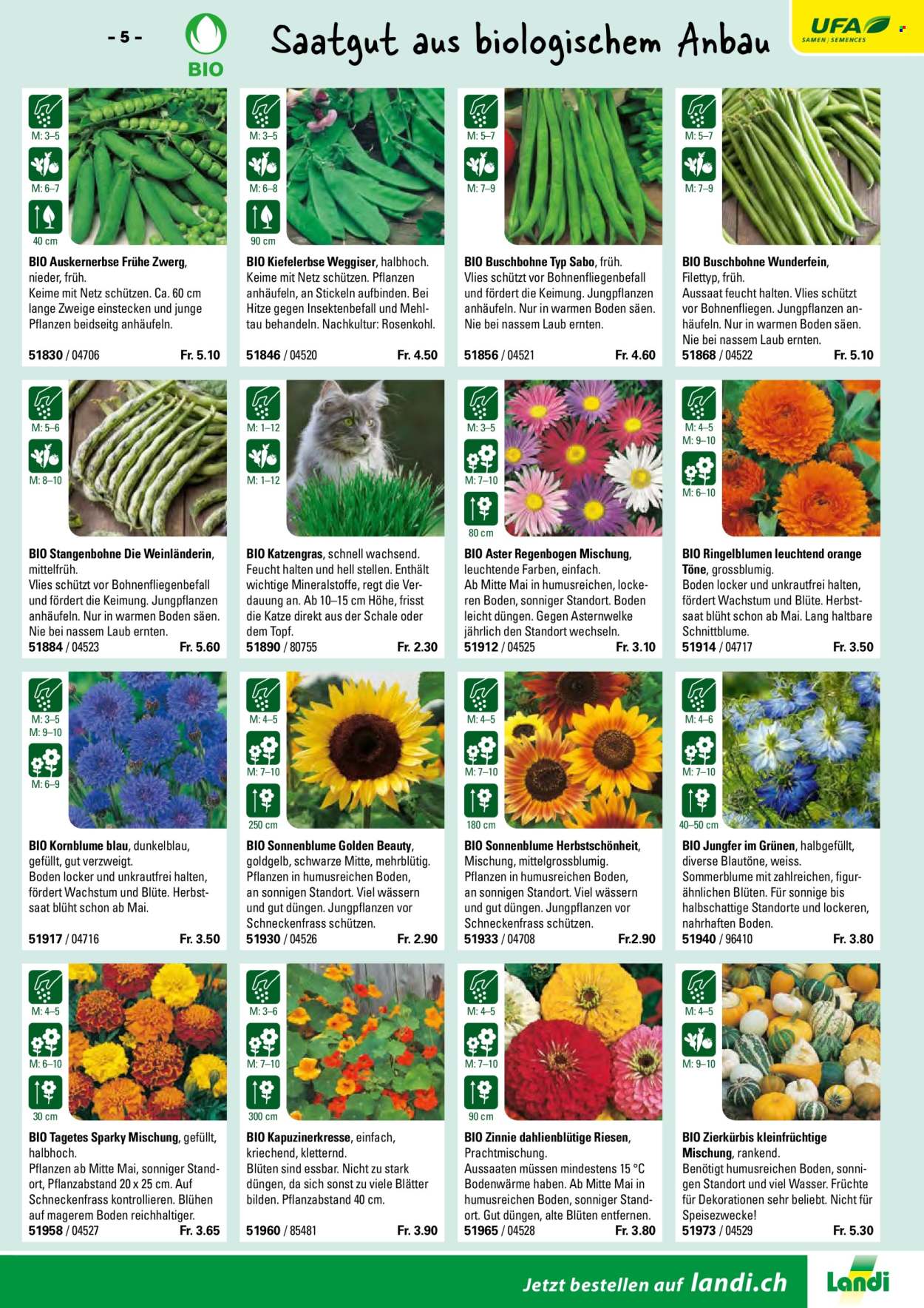 Volantino Landi. Pagina 7. Pagina 7