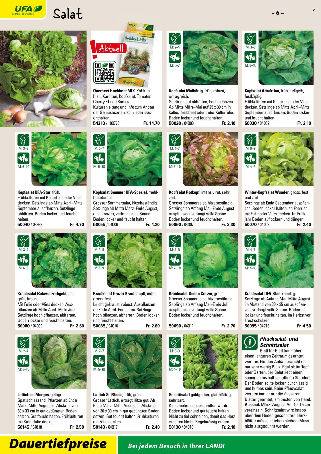 Volantino Landi. Pagina 8. Pagina 8